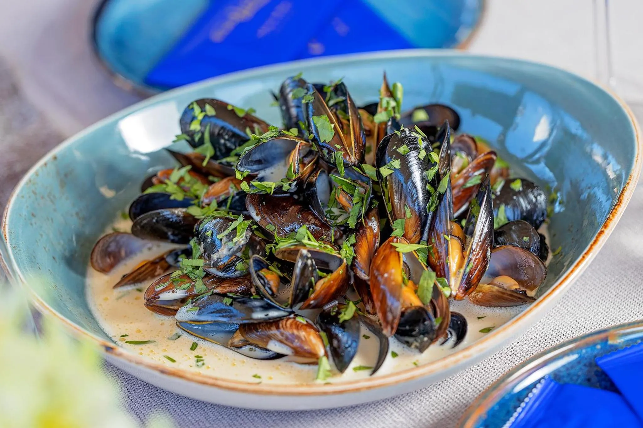 Restaurant/places to eat in Galeon Residence & SPA