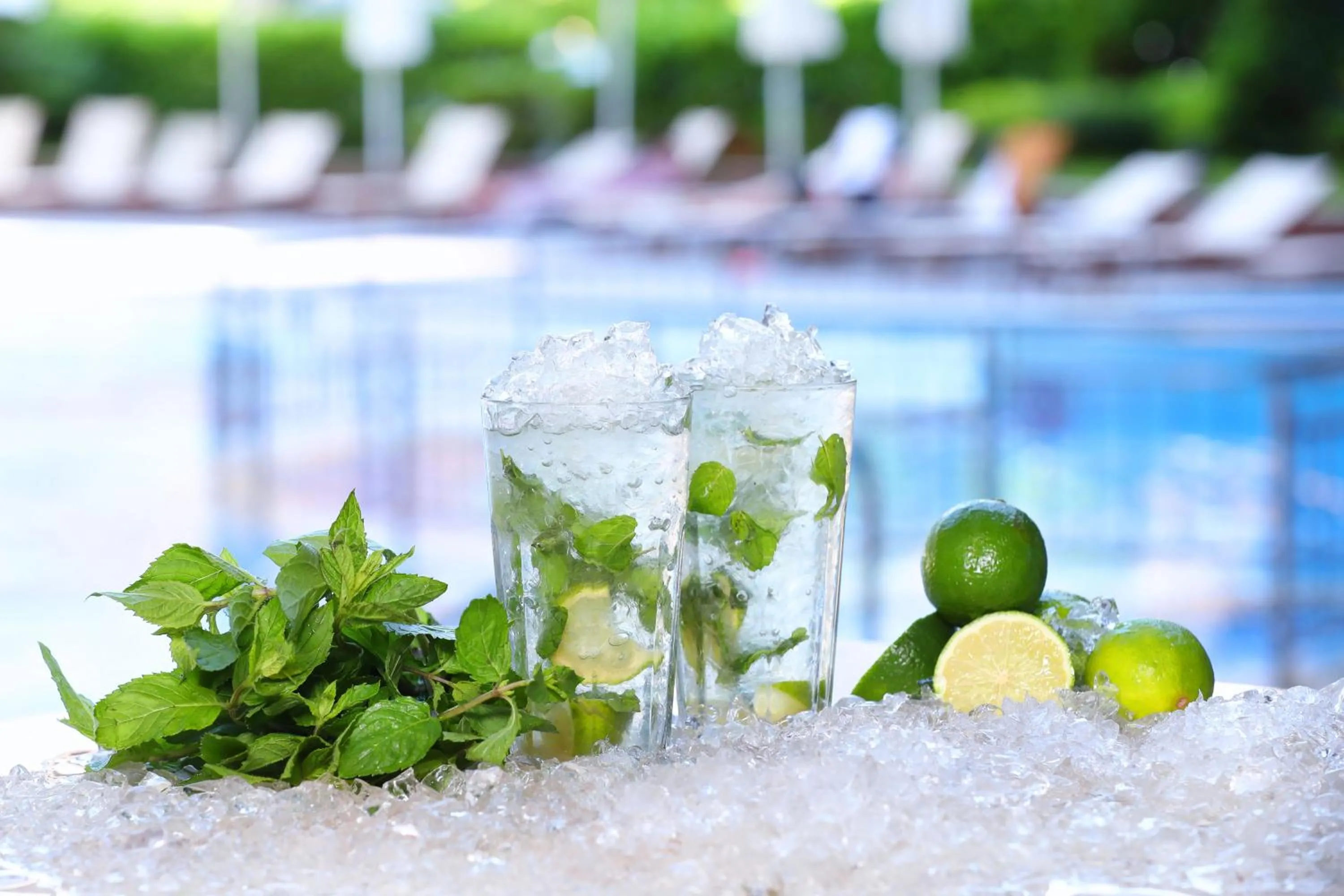 Lounge or bar in Galeon Residence & SPA