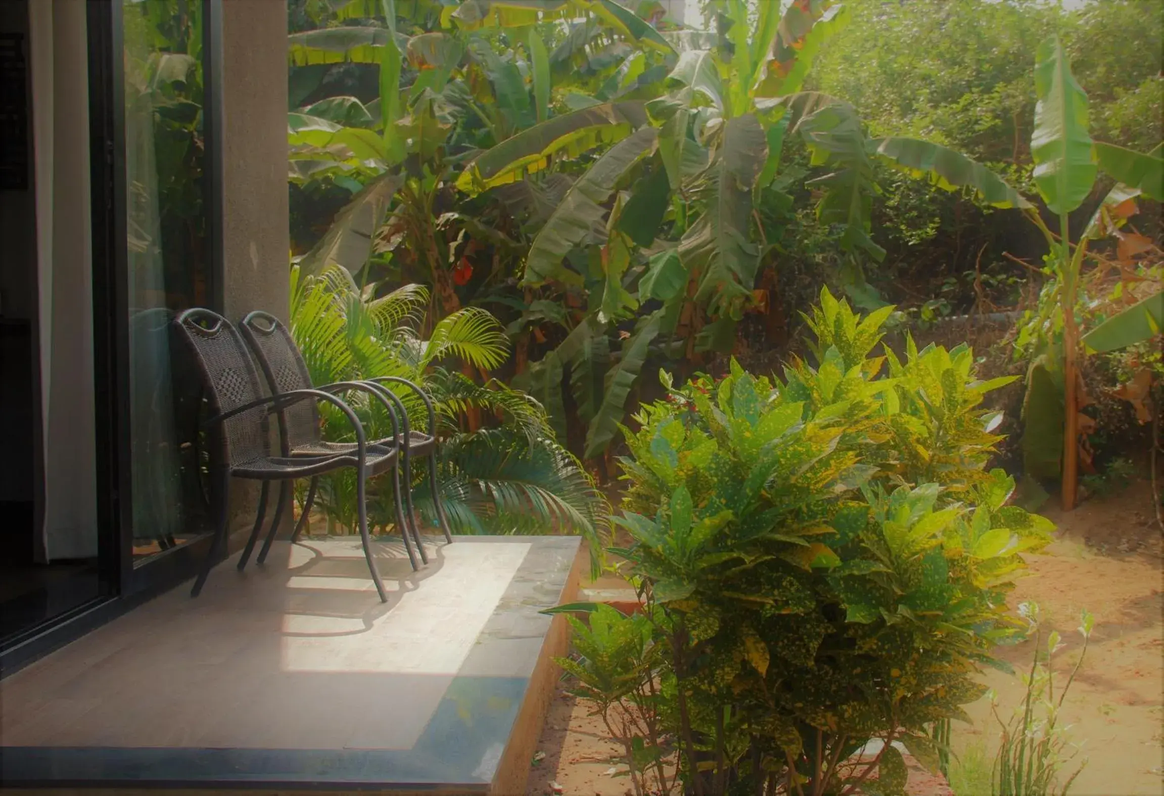 Premium Luxury Room in Lotus Sutra Beachfront Resort Premium Luxury Room in Lotus Sutra Beachfront Resort