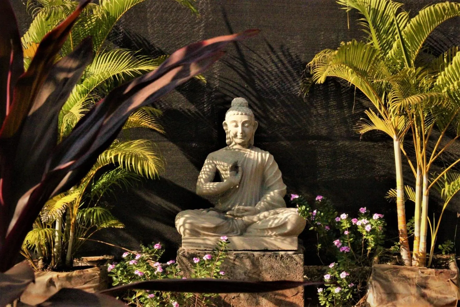 Lotus Sutra Beachfront Resort