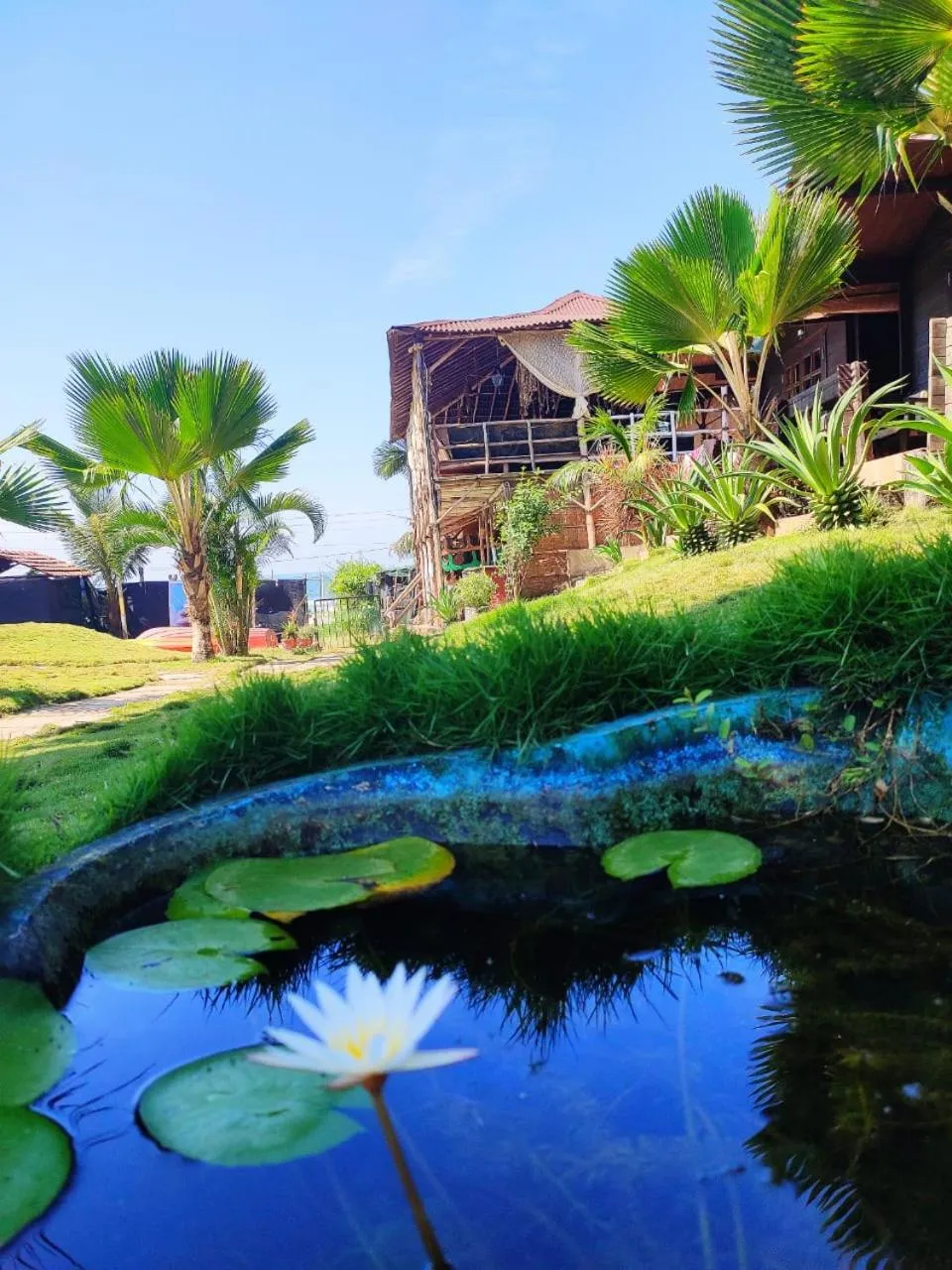 Natural landscape in Lotus Sutra Beachfront Resort