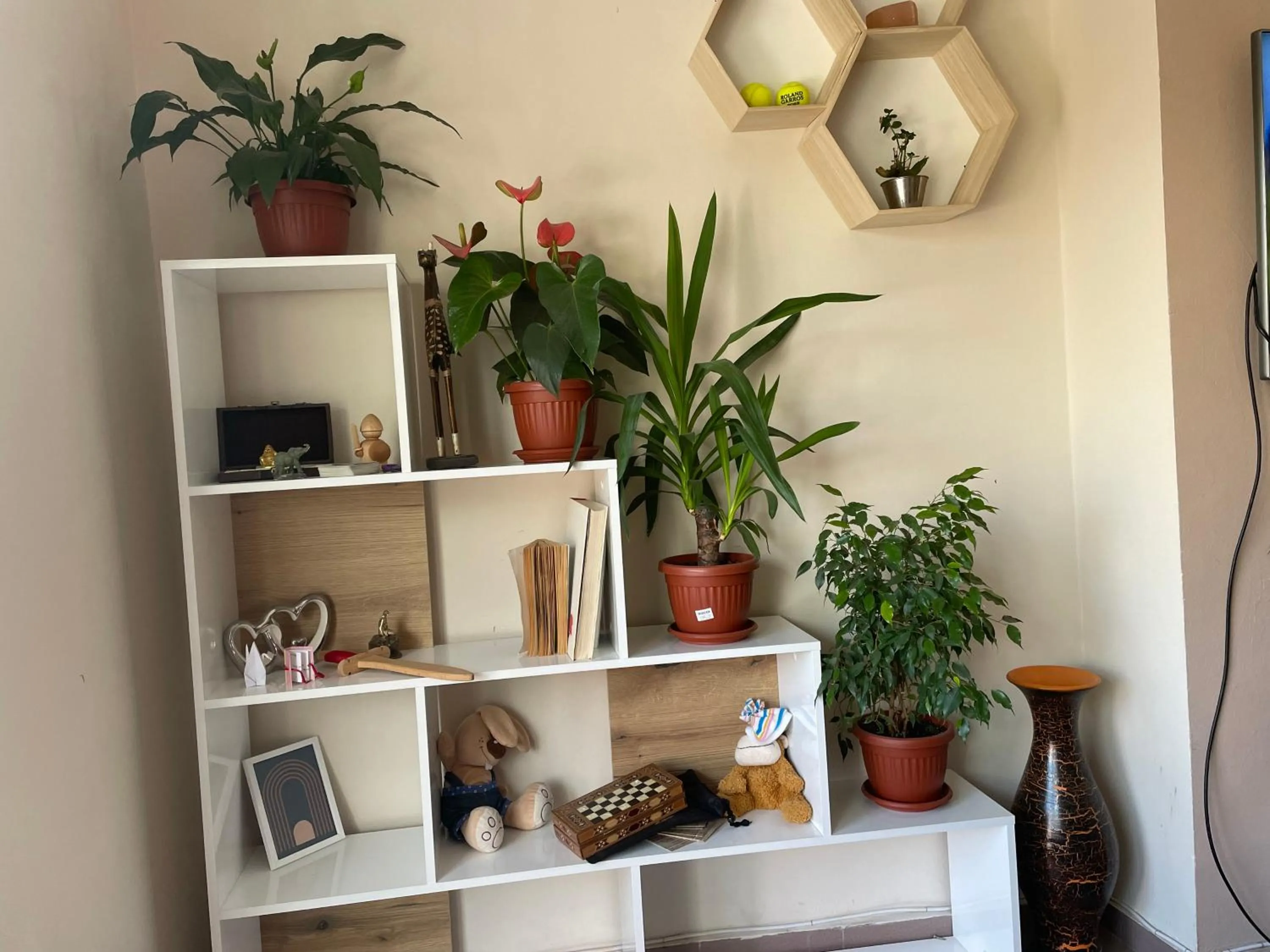 Living room in Hakuna Matata Guest House