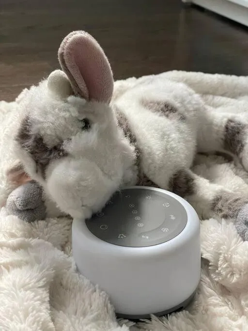 children in Shore Drive - 2 Bedroom/2 Bath/Bunk/Queen Oasis