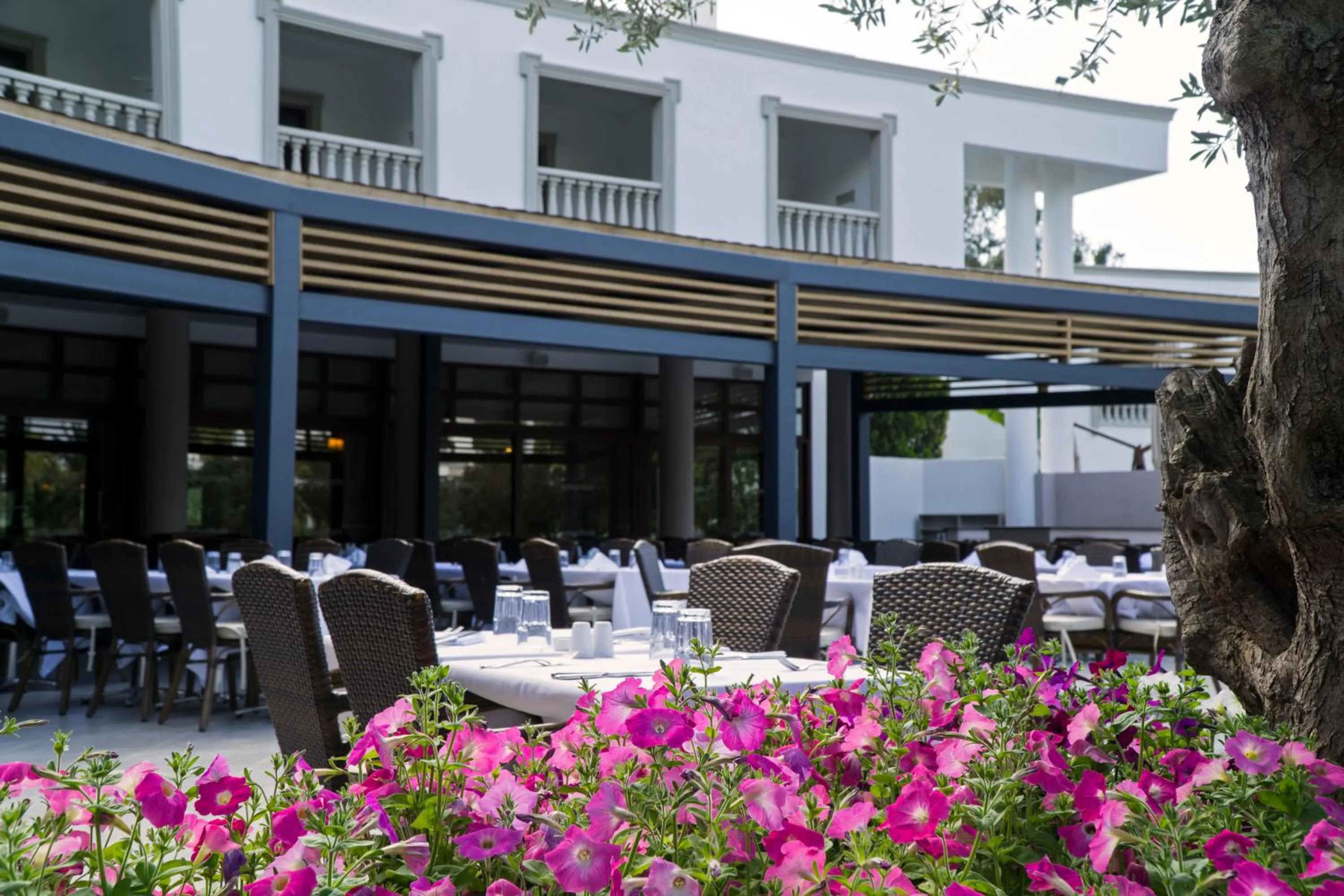 Restaurant/places to eat in Samara Hotel Bodrum Ultra All Inclusive