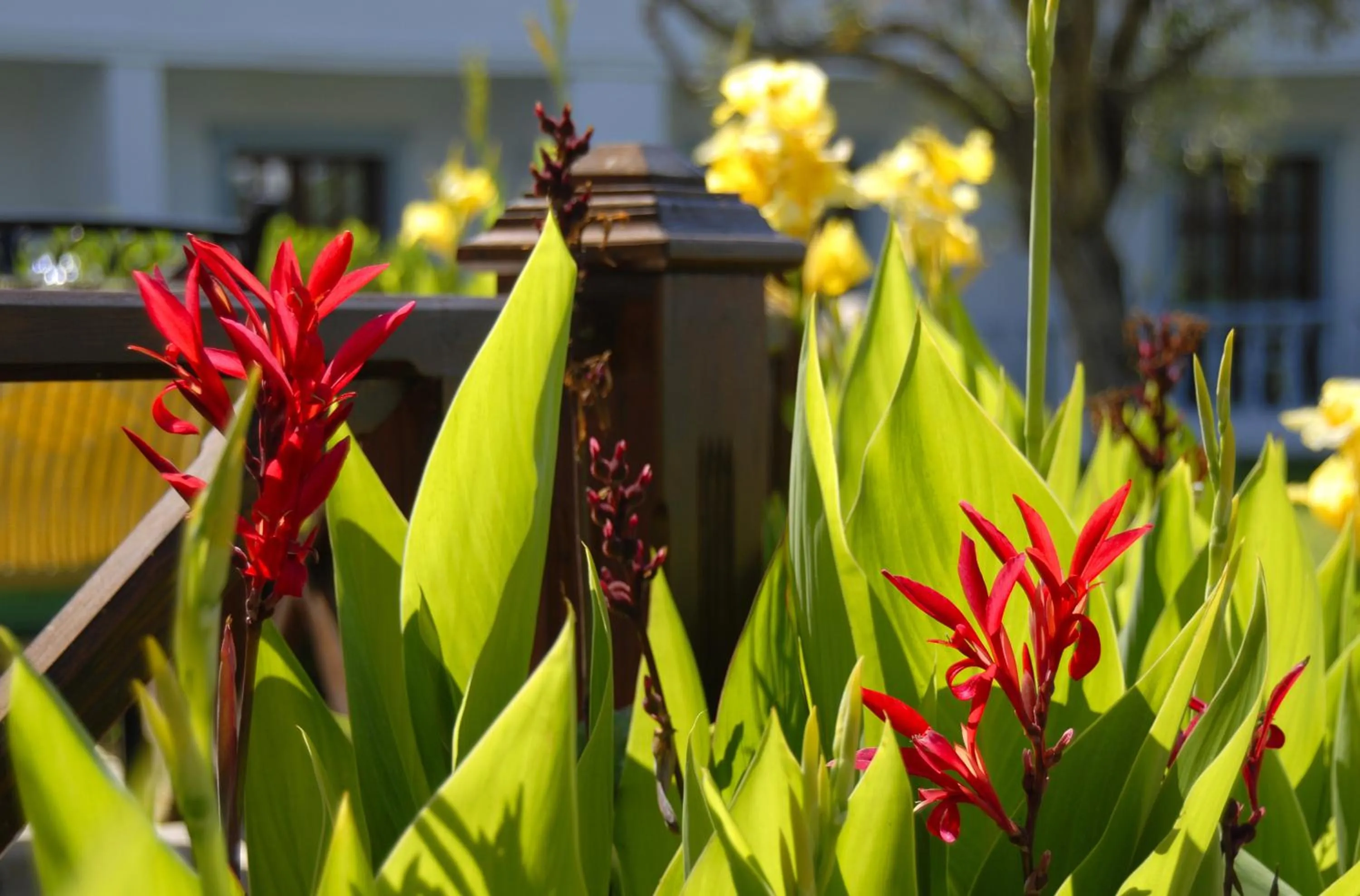 Garden in Samara Hotel Bodrum Ultra All Inclusive