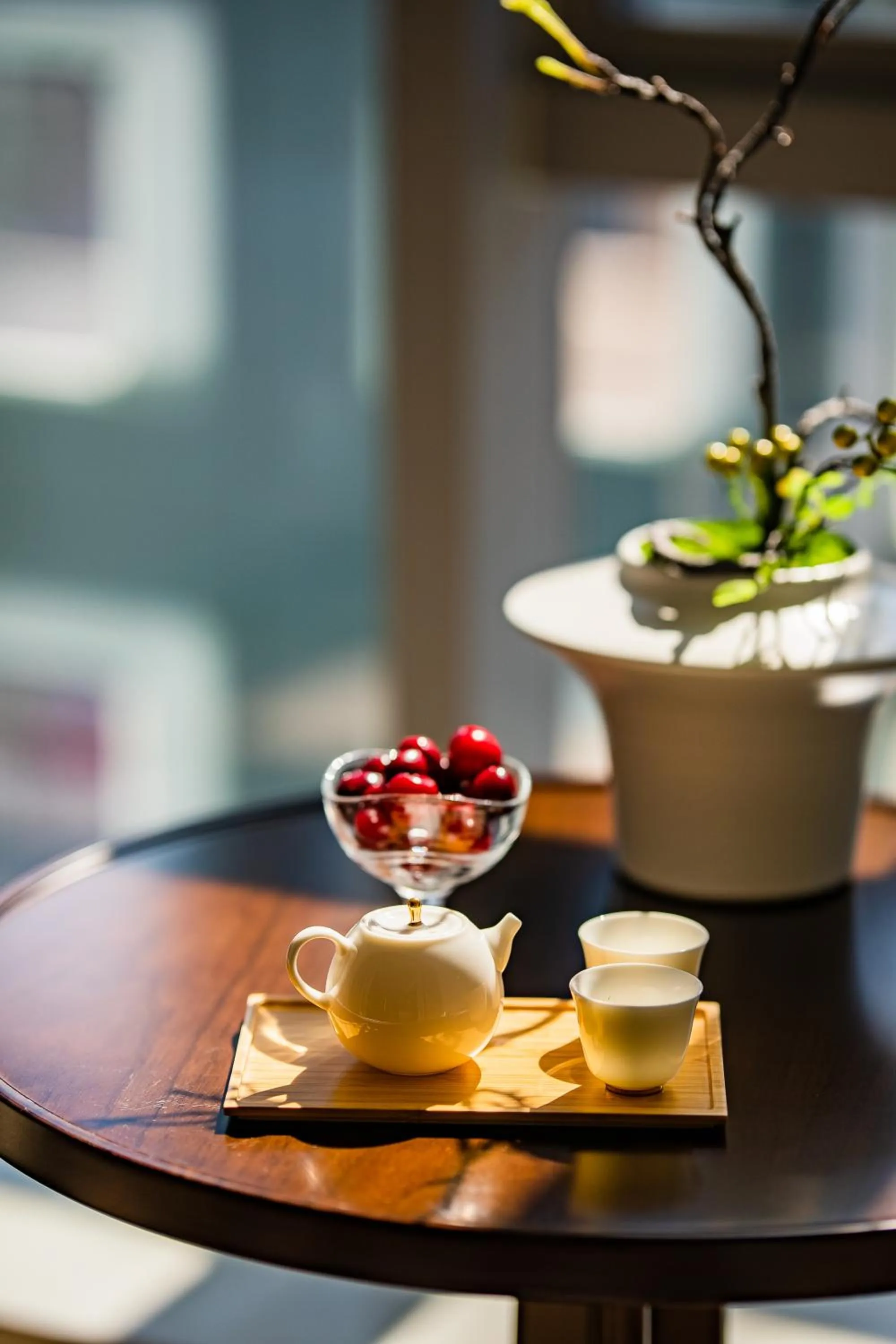Balcony/Terrace in LDS Hotel Belgrade