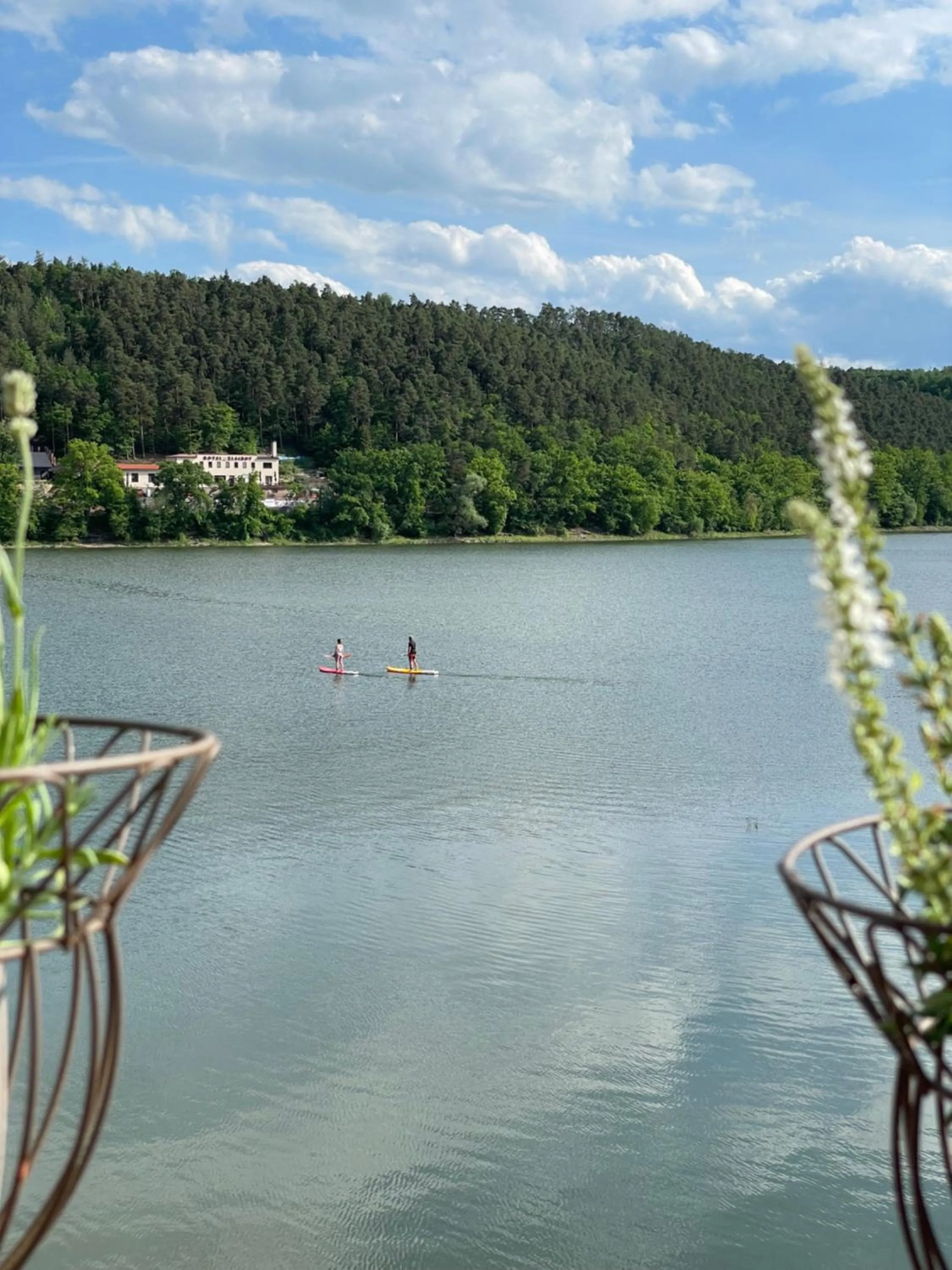 Natural landscape in Hotel Plumlov