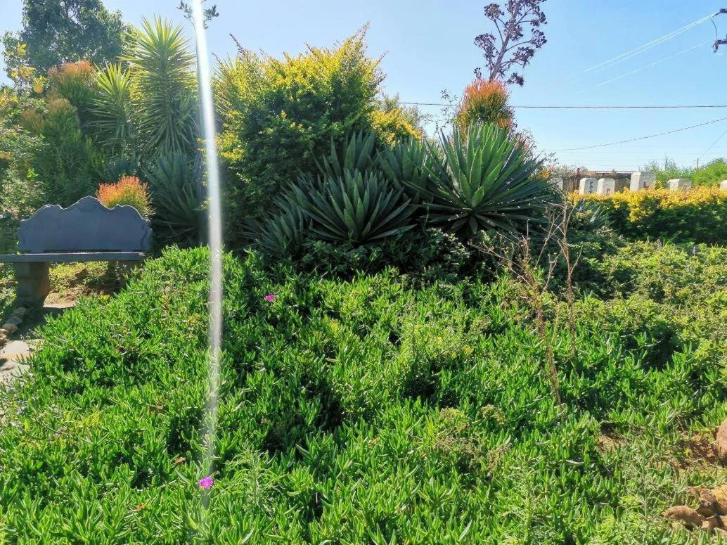 Garden in Monakaladi Gardens Function Venue and Homestead