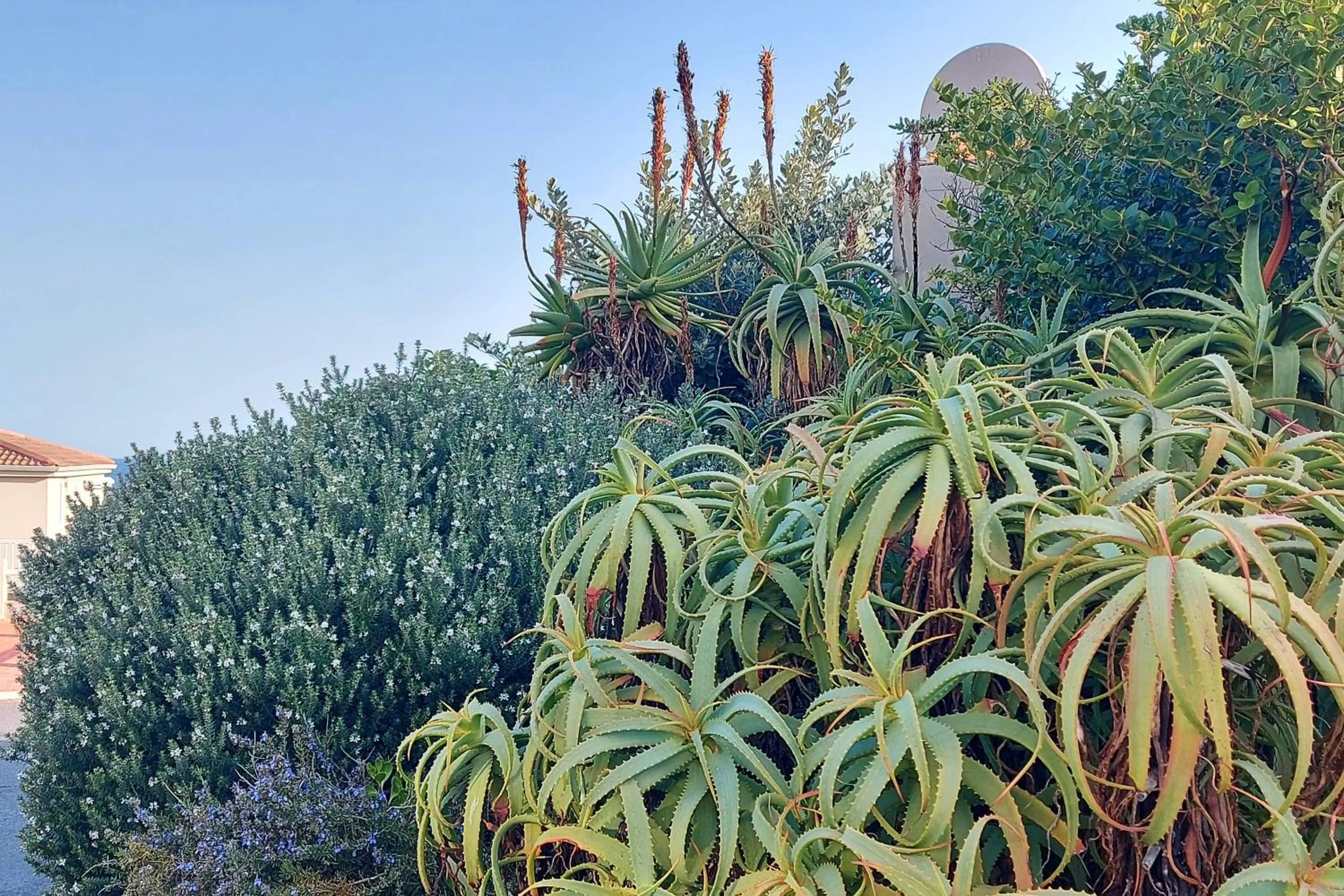 Natural landscape in First Group Hermanus Beach Club