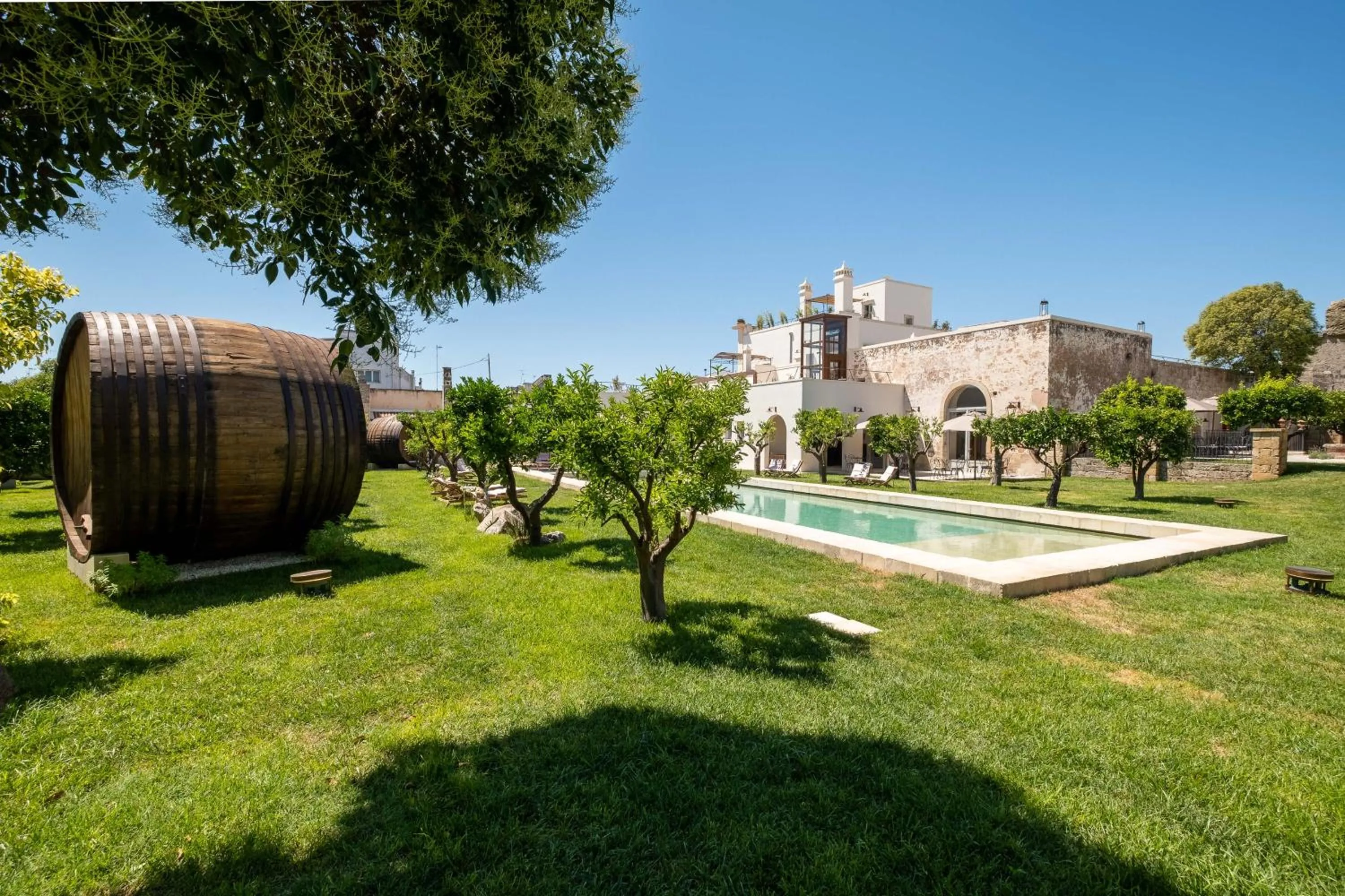 Garden in Nohasi Palace Lifestyle Hotel & SPA