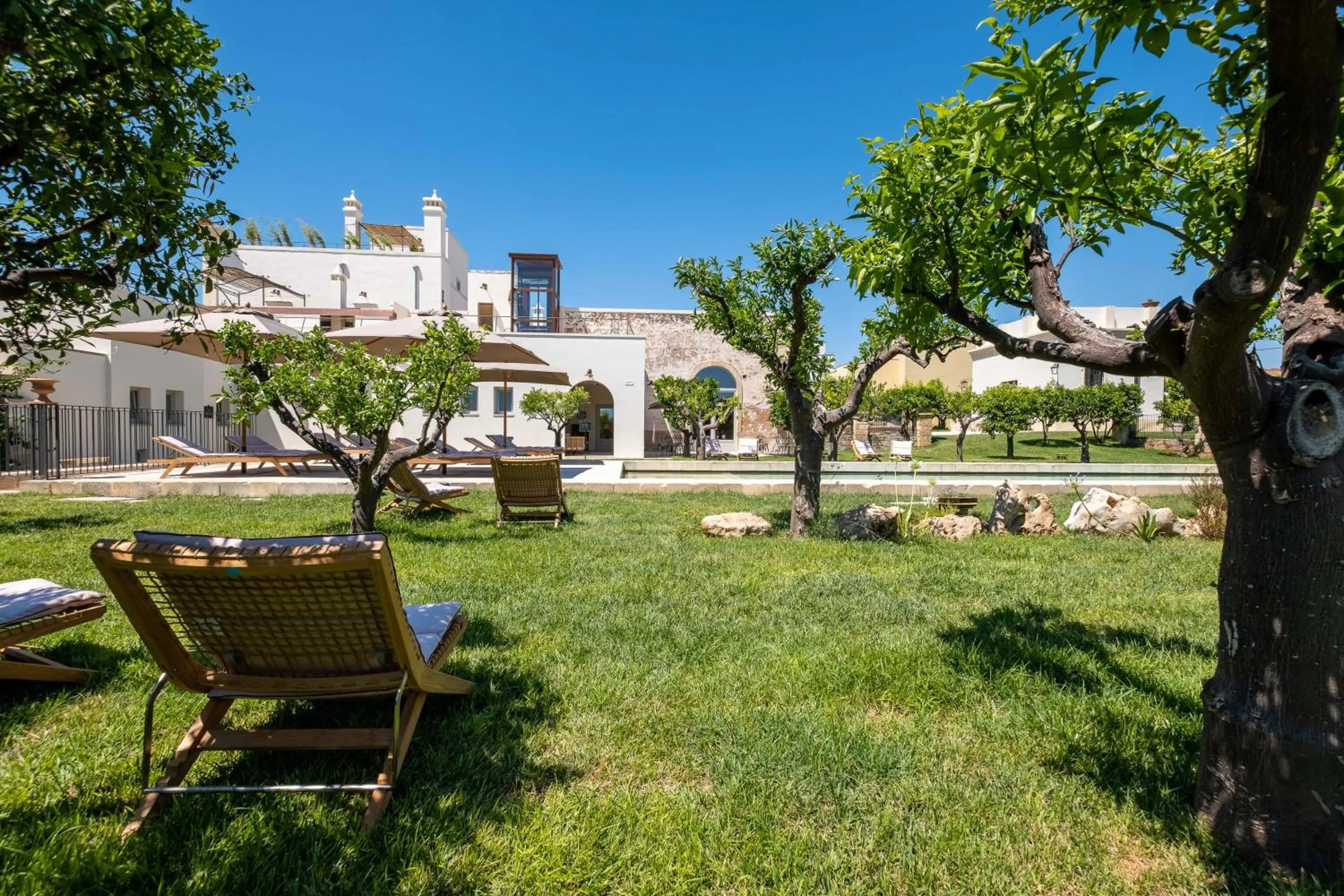 Garden in Nohasi Palace Lifestyle Hotel & SPA