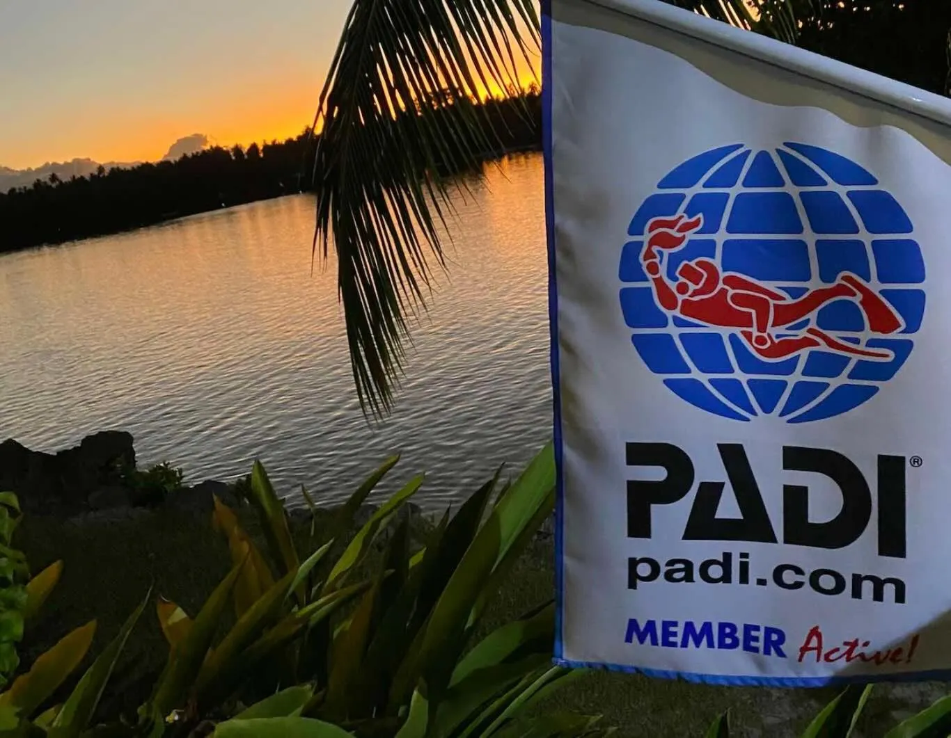 Diving in Turtle Bay Lodge