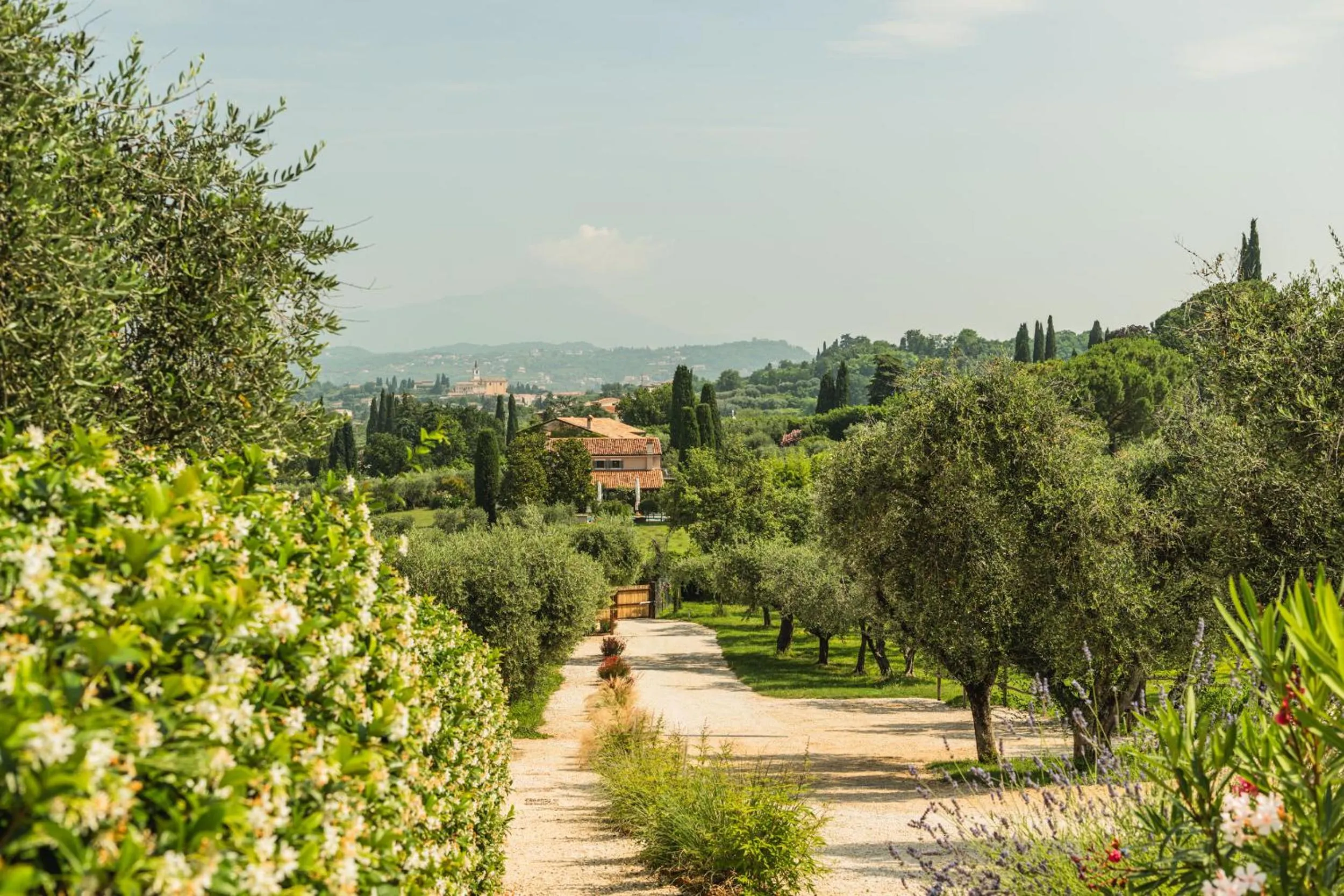 Natural landscape in Privilegium Lazise