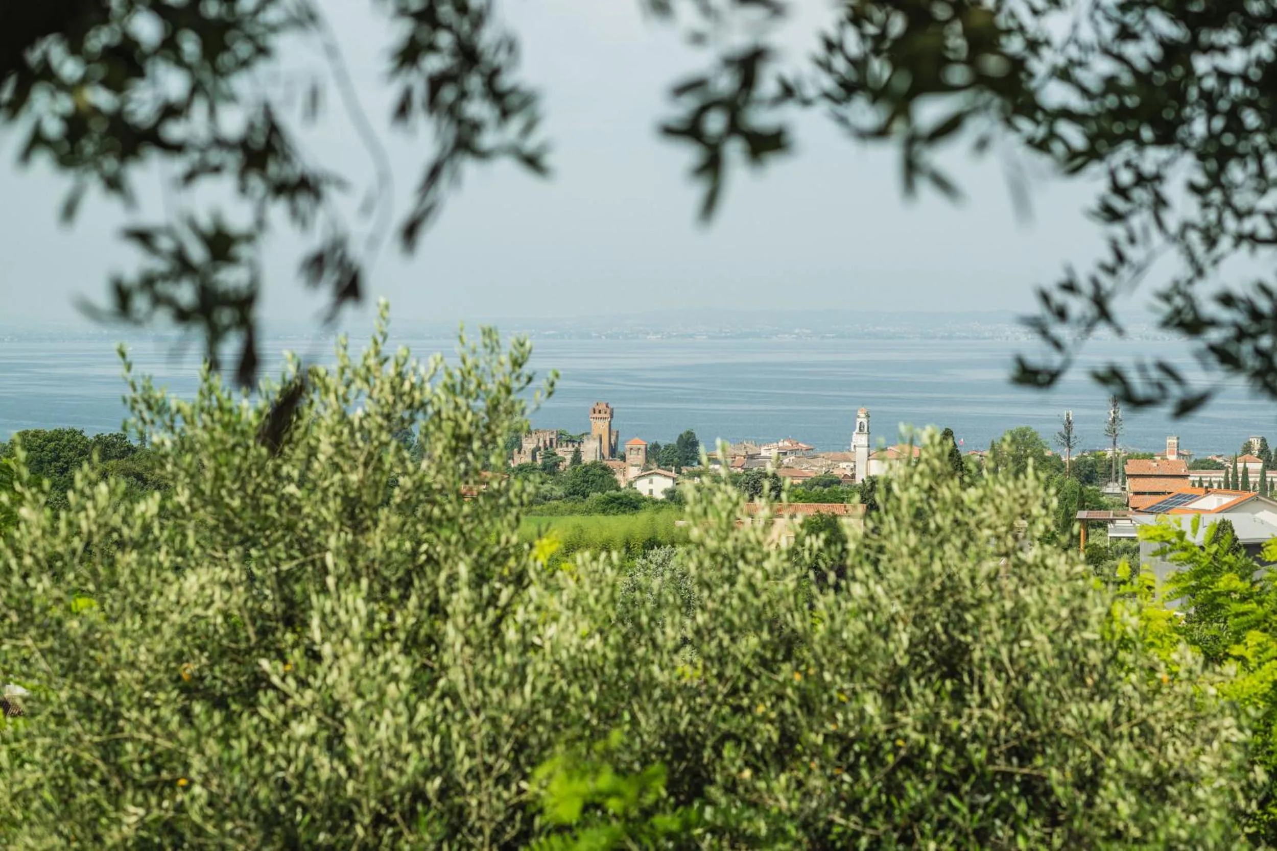 View (from property/room) in Privilegium Lazise