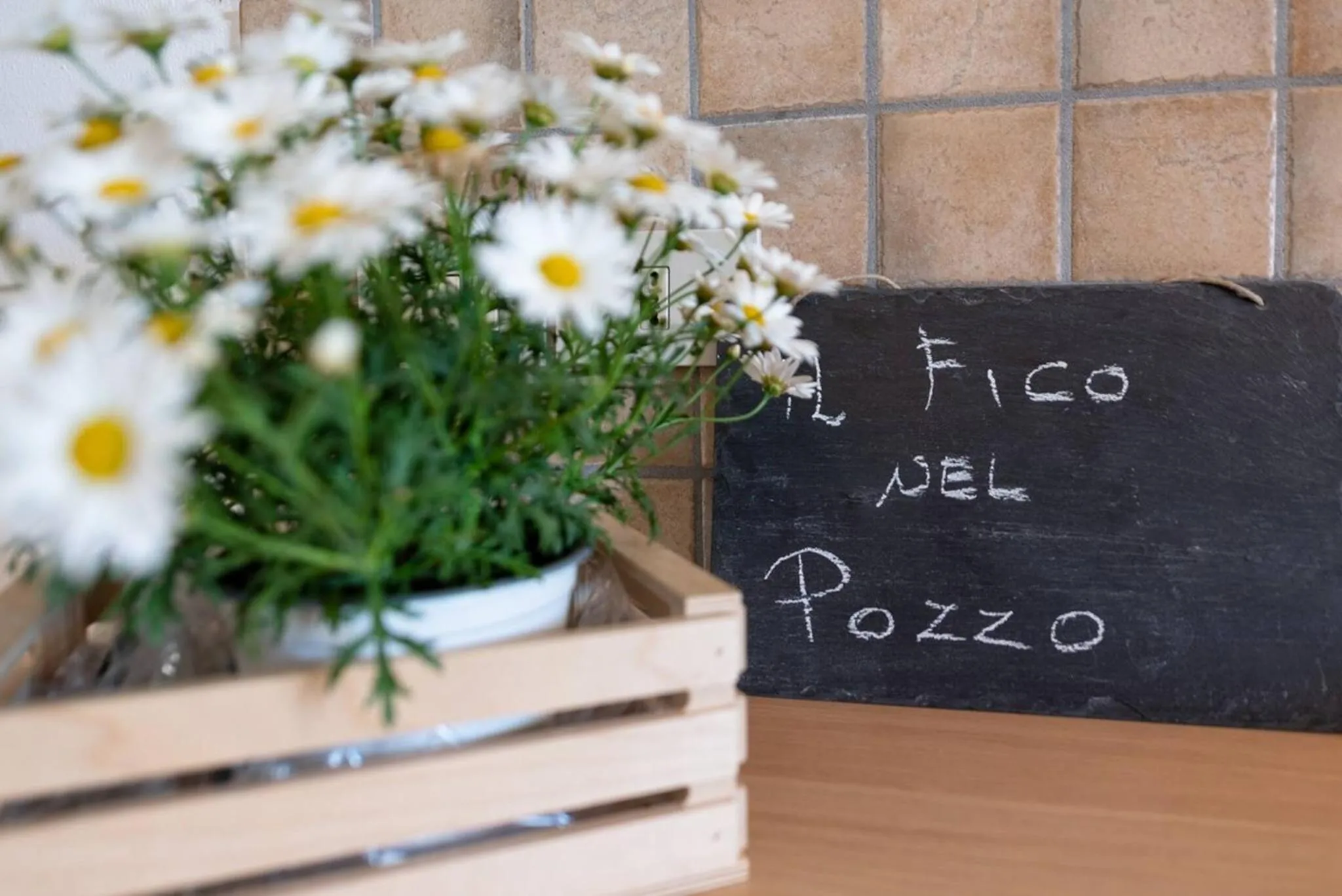 Off site in Il fico nel Pozzo - YourPlace Abruzzo