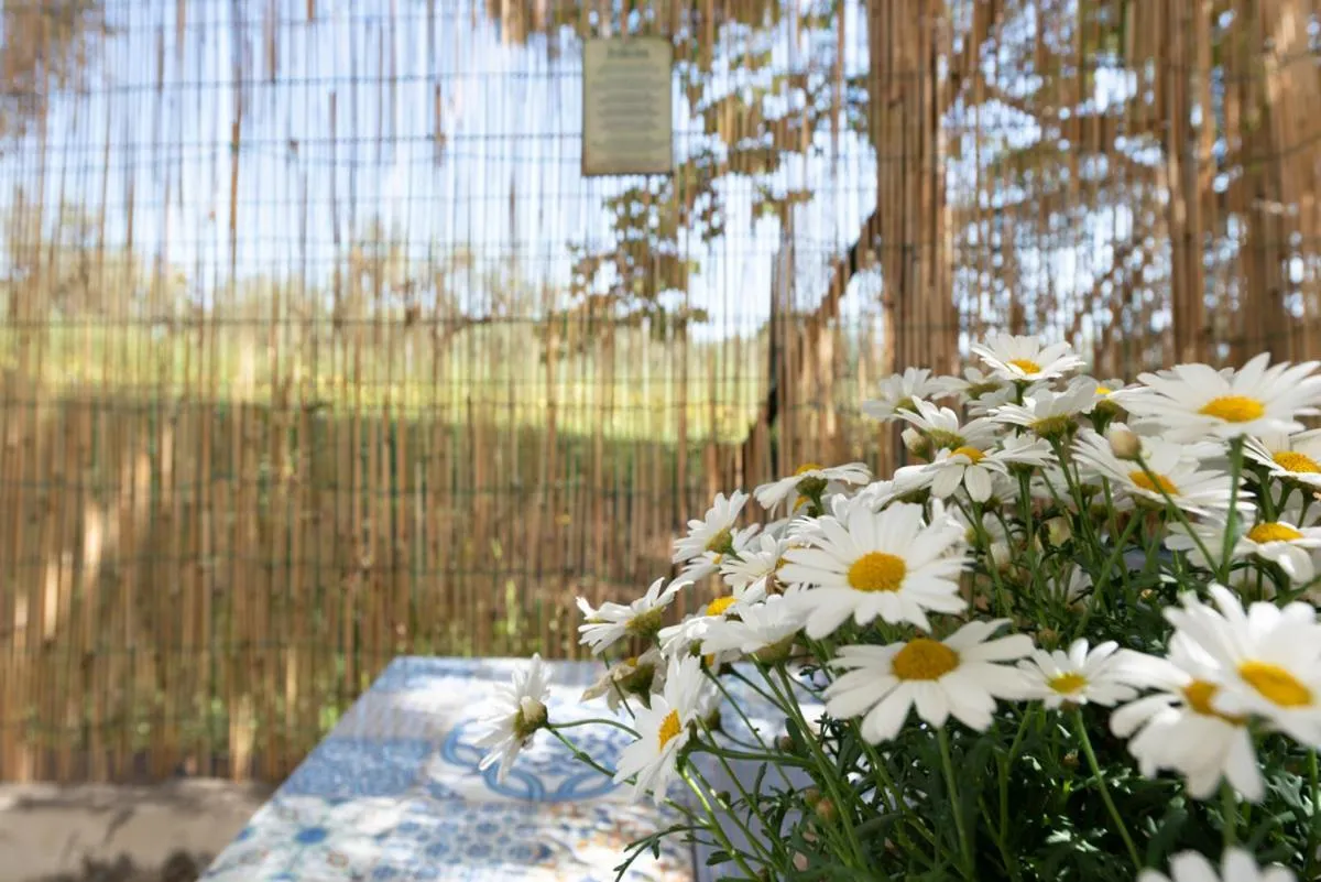 Other in Il fico nel Pozzo - YourPlace Abruzzo