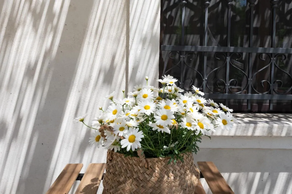 Other in Il fico nel Pozzo - YourPlace Abruzzo