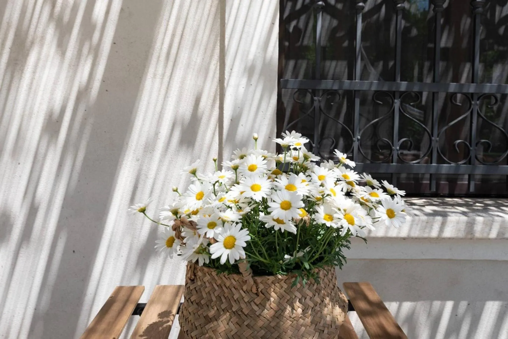 Other in Il fico nel Pozzo - YourPlace Abruzzo