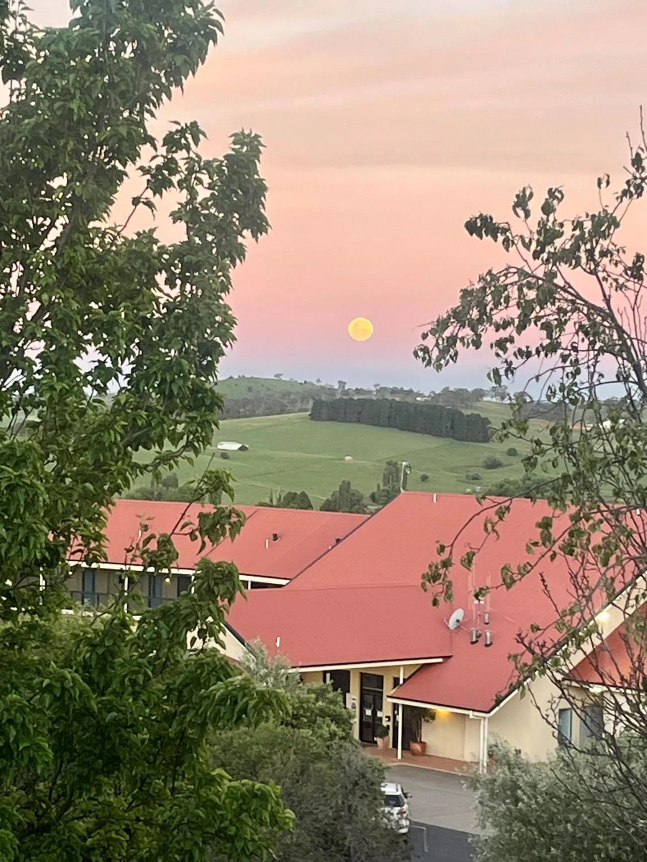 View (from property/room) in Turners Vineyard Motel