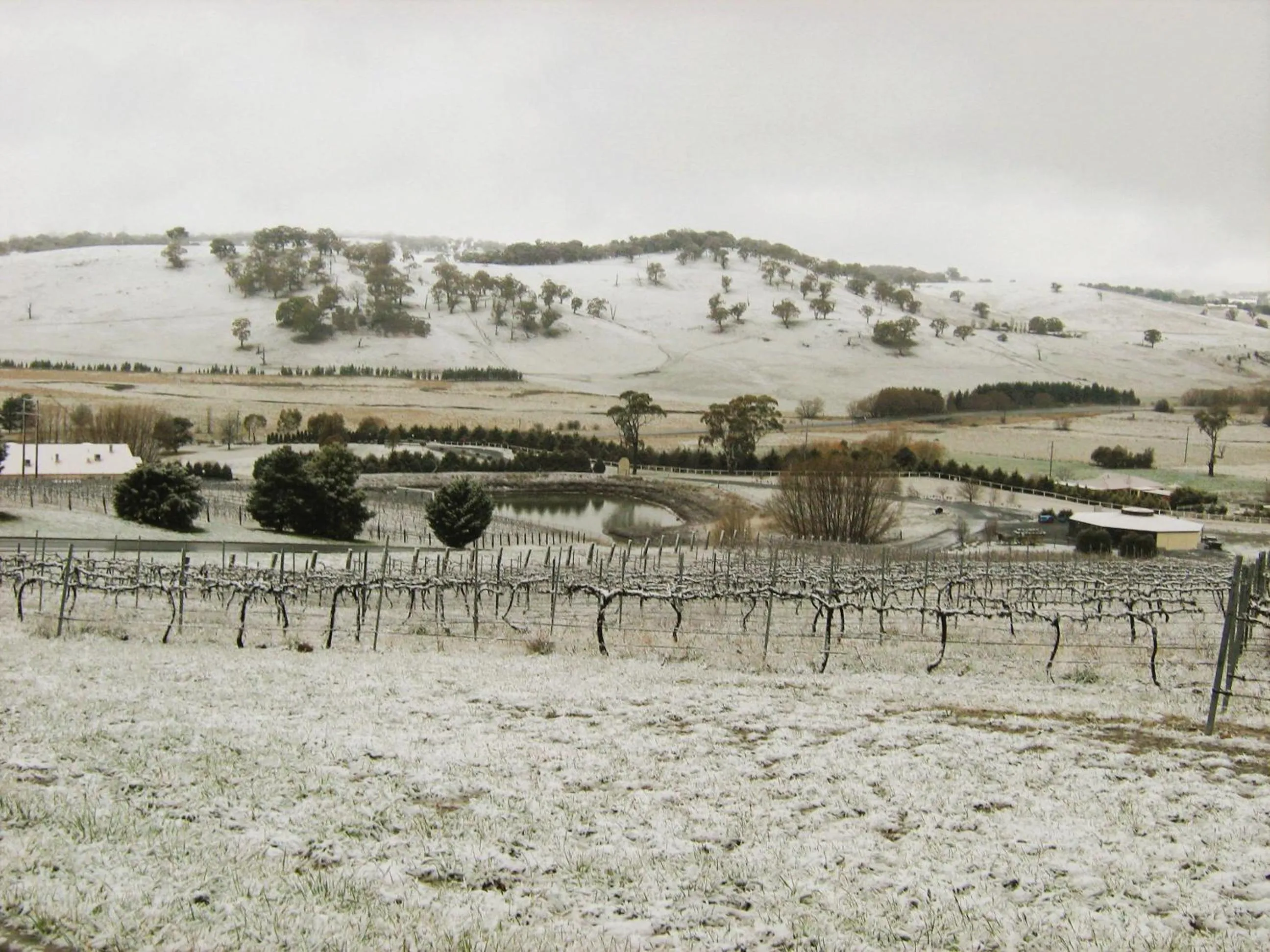 Natural landscape in Turners Vineyard Motel