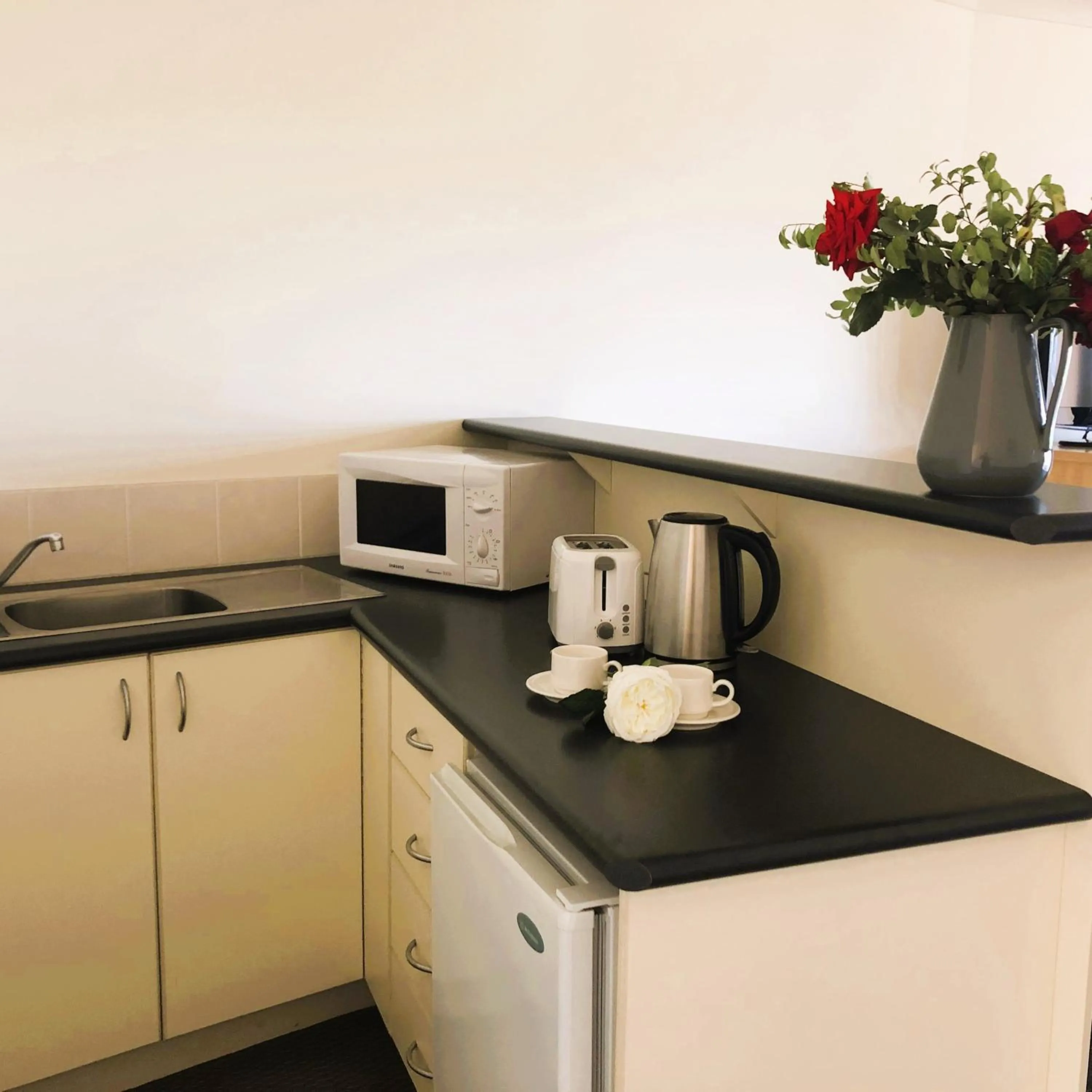 Kitchen or kitchenette in Turners Vineyard Motel