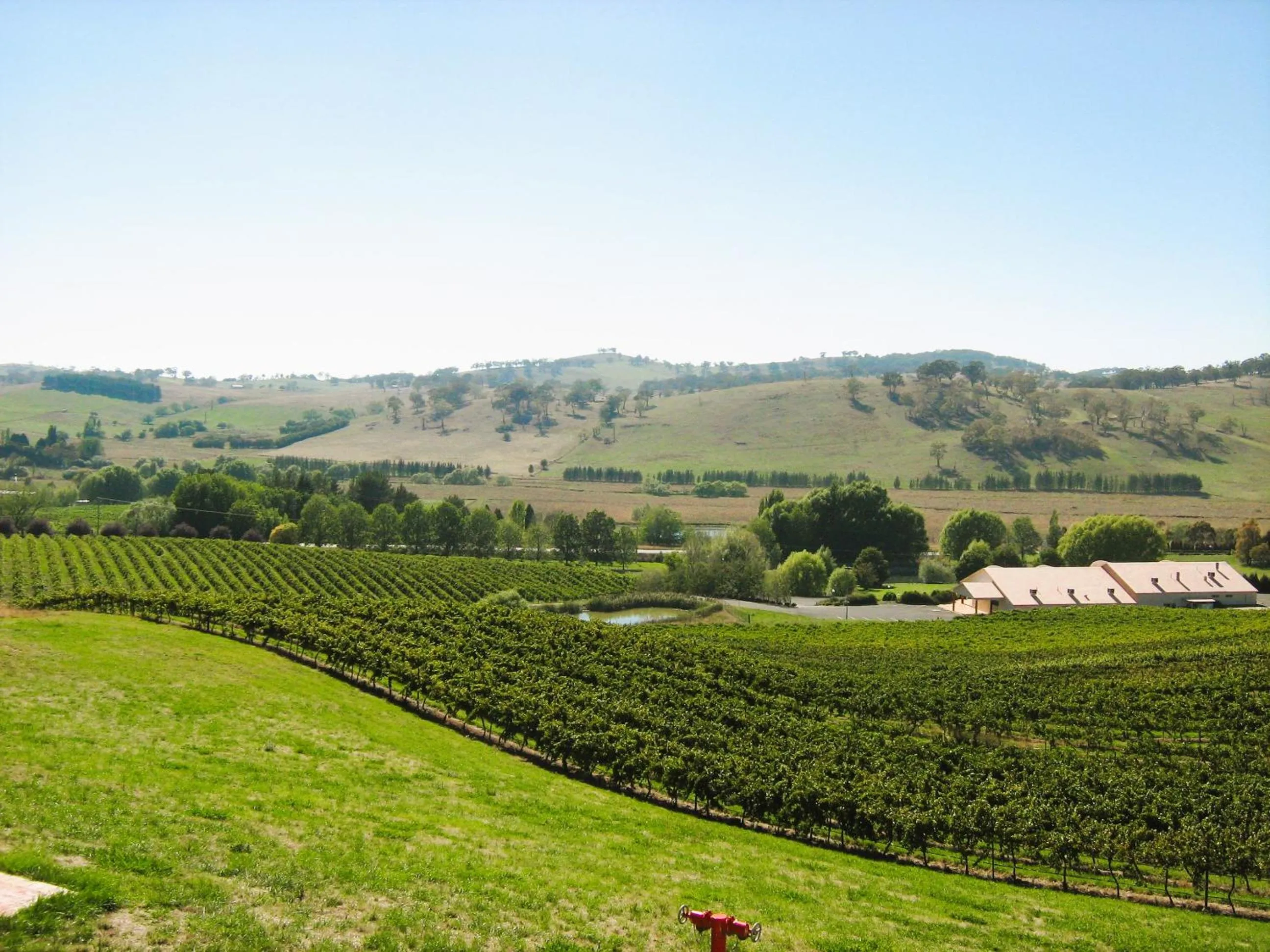 Natural landscape in Turners Vineyard Motel