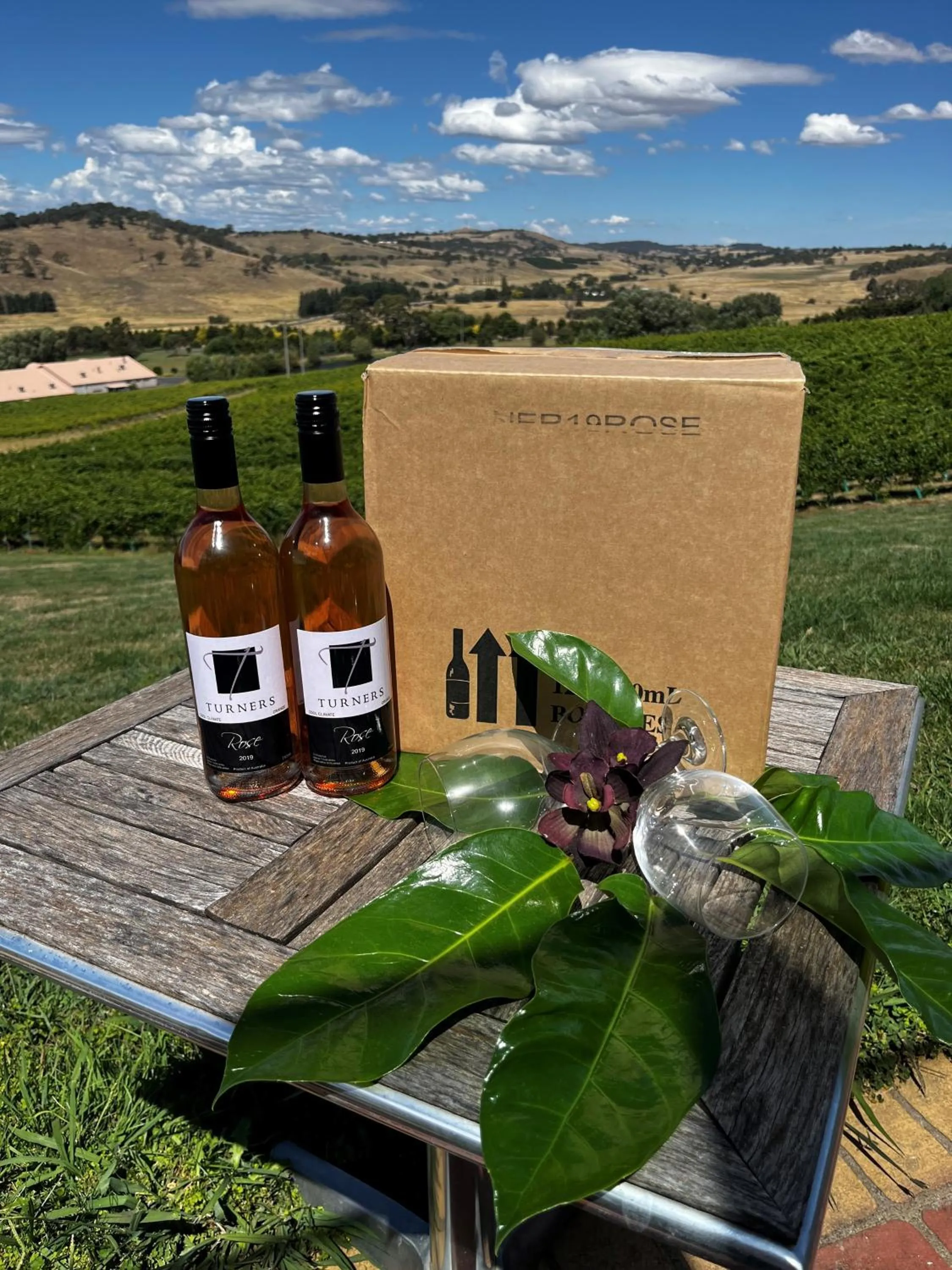 Drinks in Turners Vineyard Motel