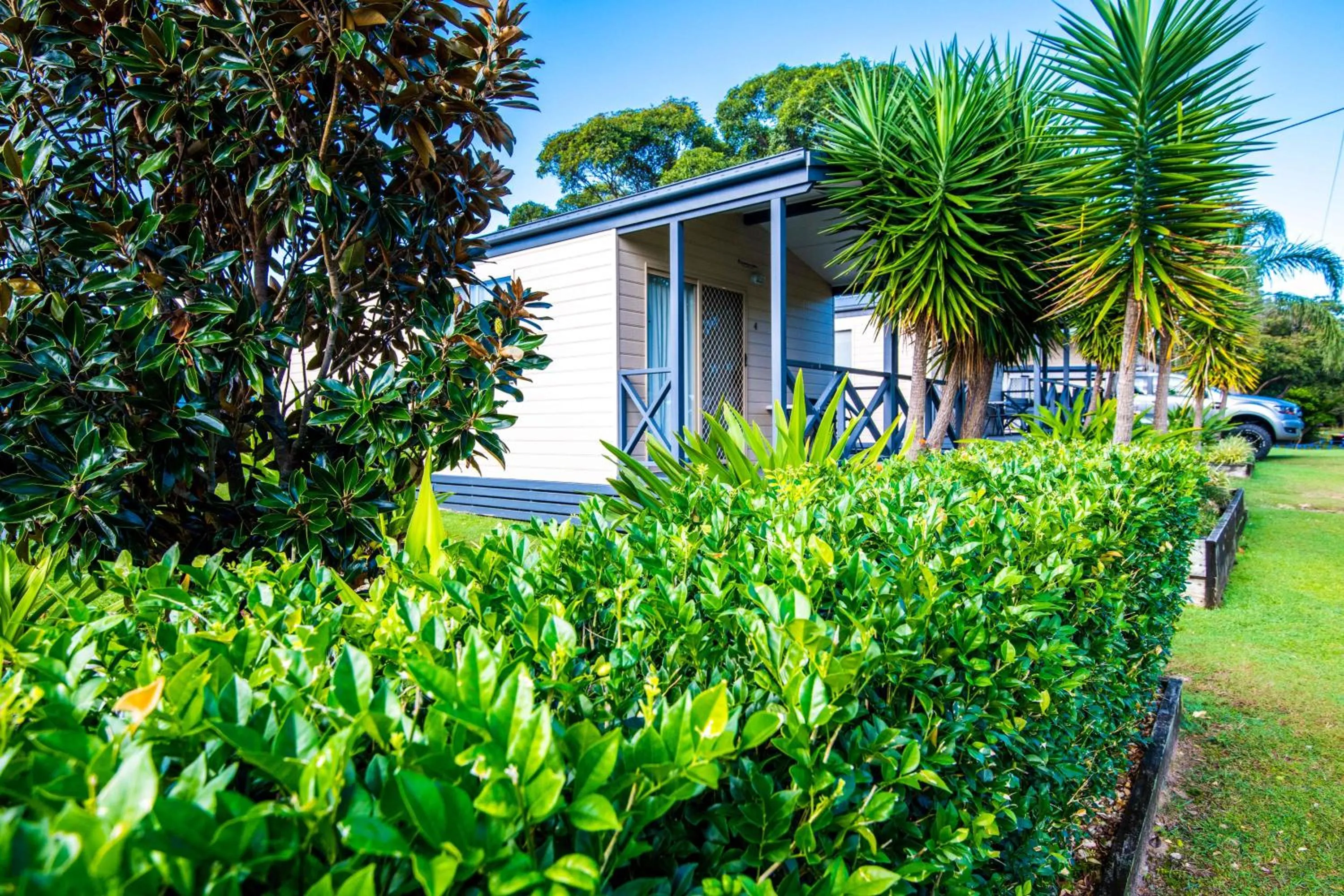 Natural landscape in Clarence Head Caravan Park