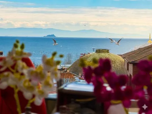 Ayasofya Hotel - Special Class