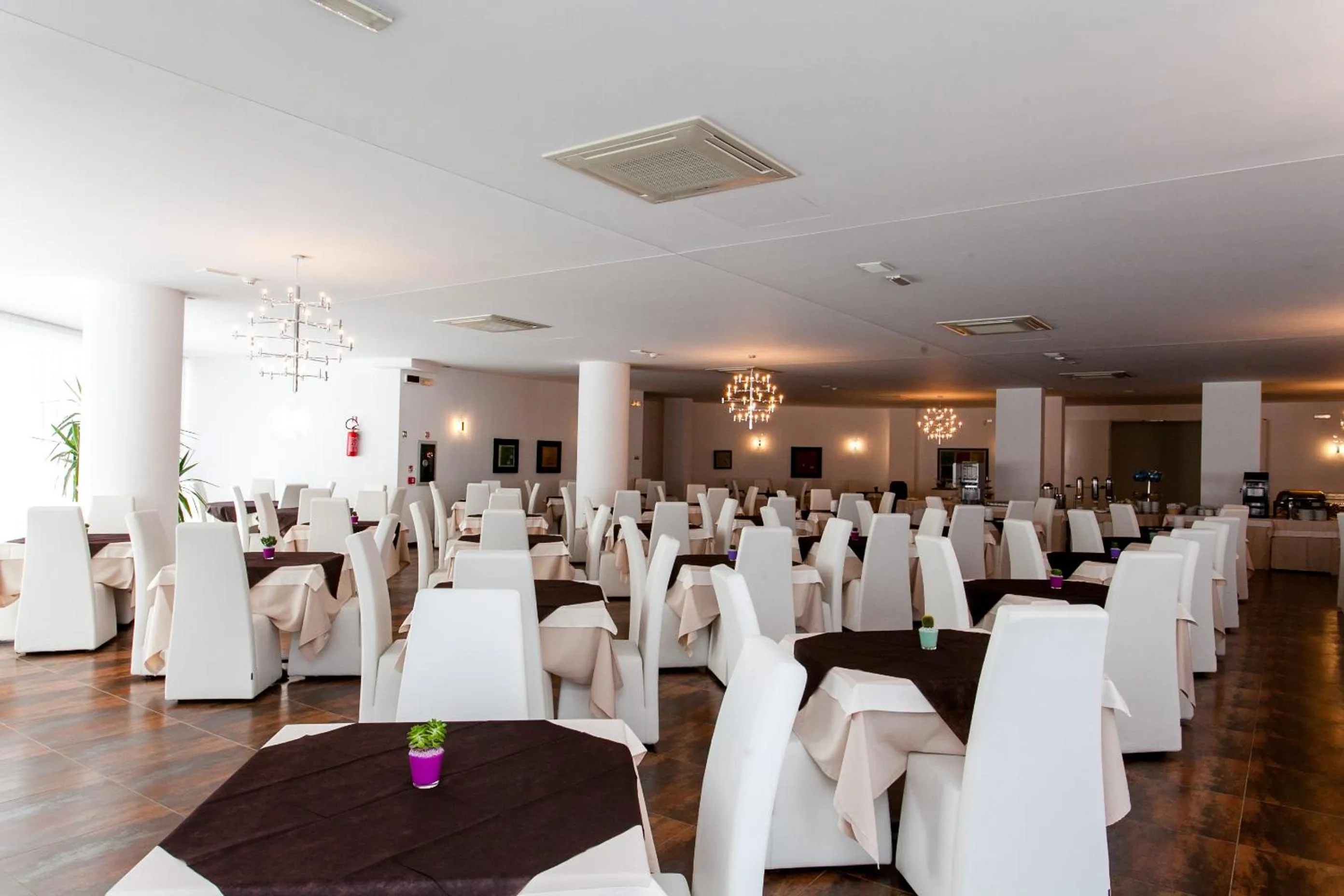 Restaurant/places to eat in Hotel Scialì