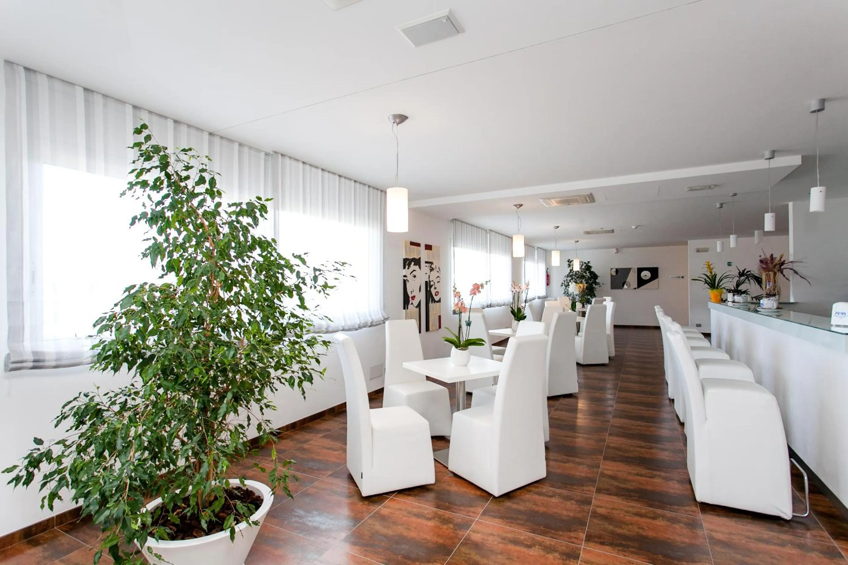 Lounge or bar in Hotel Scialì