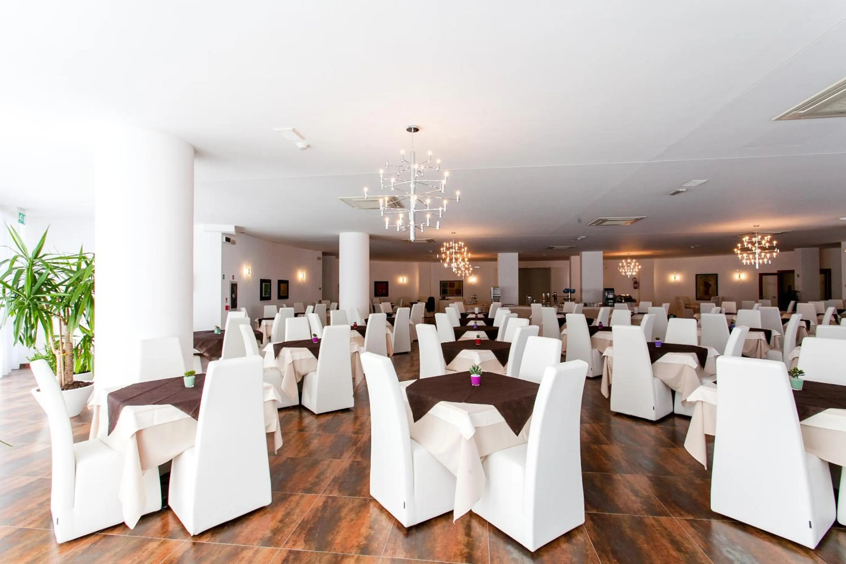 Restaurant/places to eat in Hotel Scialì