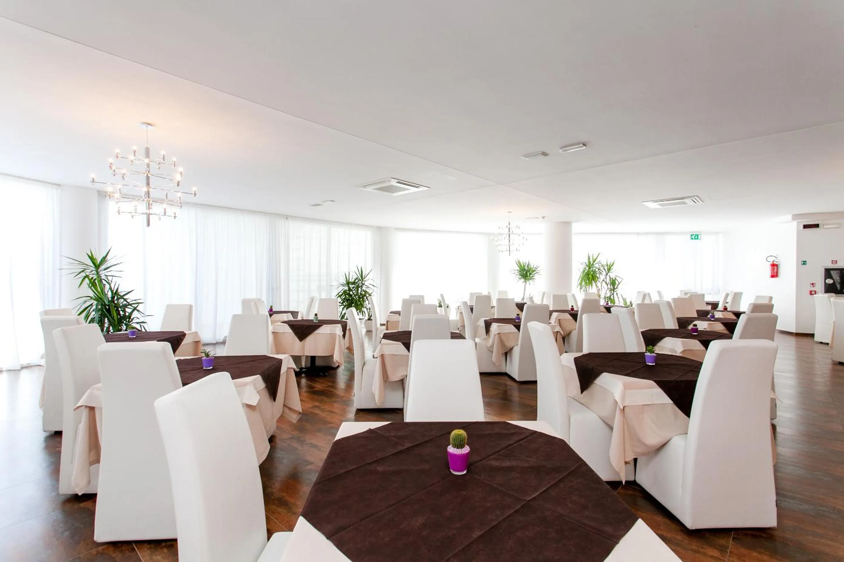 Restaurant/places to eat in Hotel Scialì