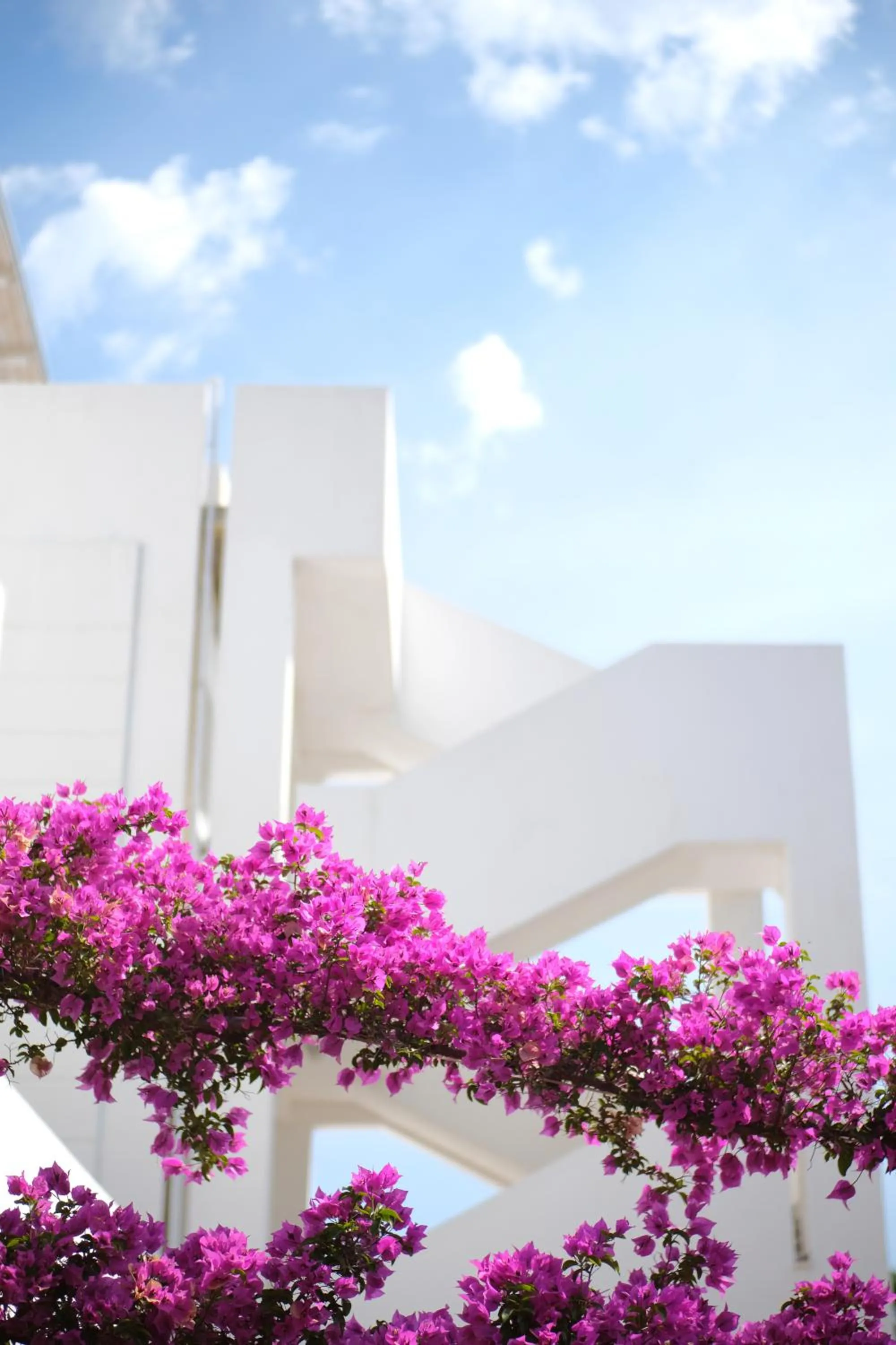 Property building in Hotel Scialì