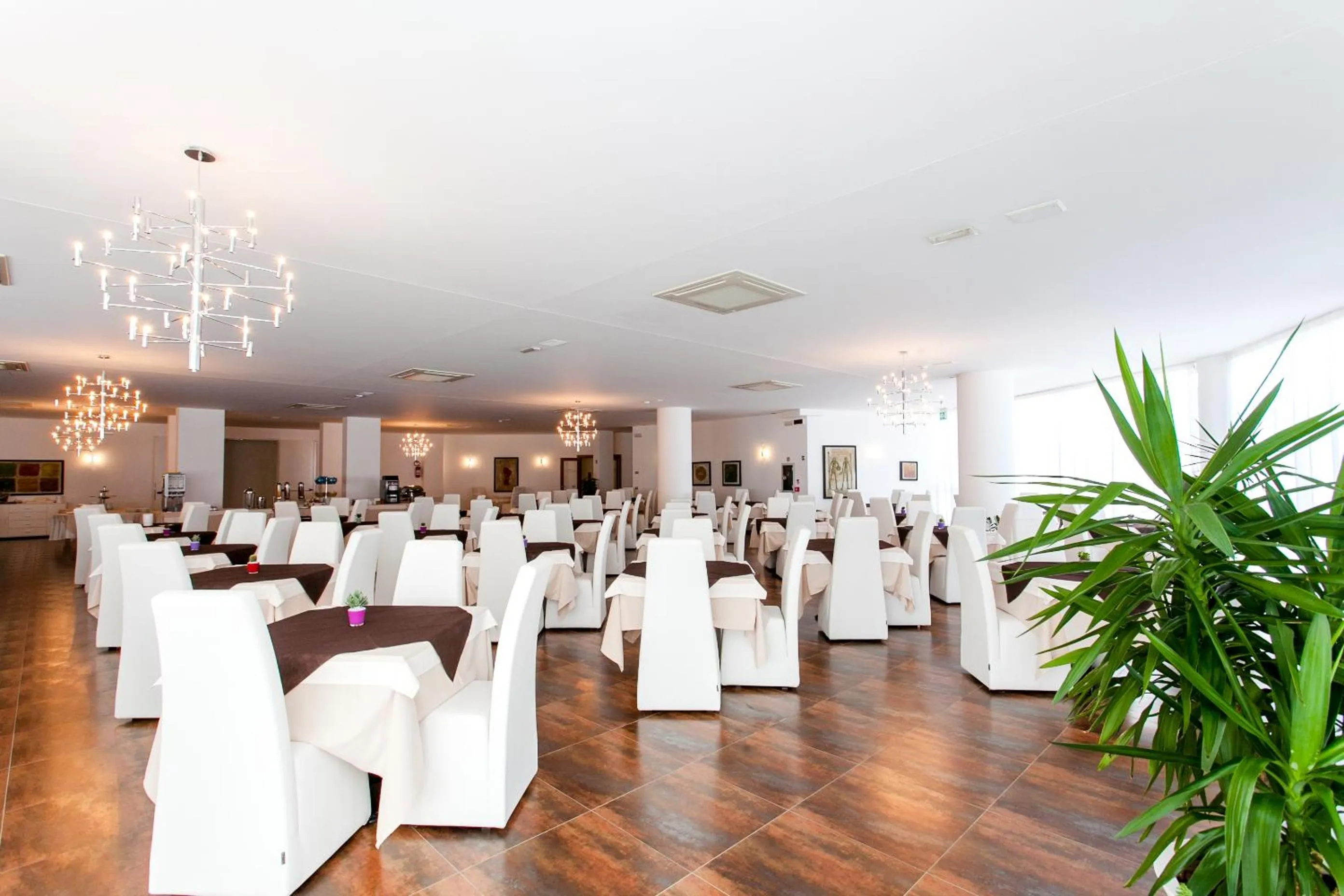 Restaurant/places to eat in Hotel Scialì