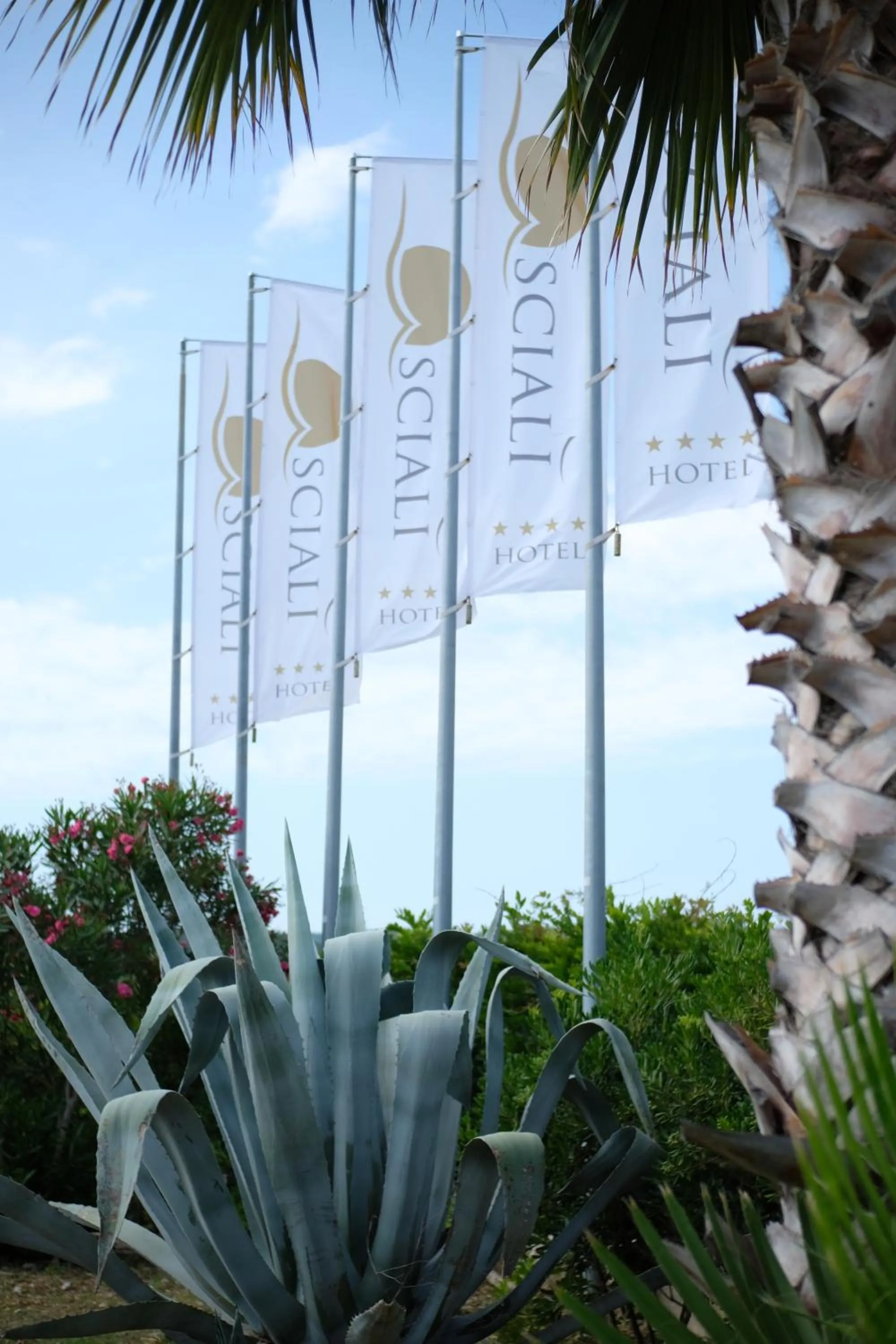 Property building in Hotel Scialì