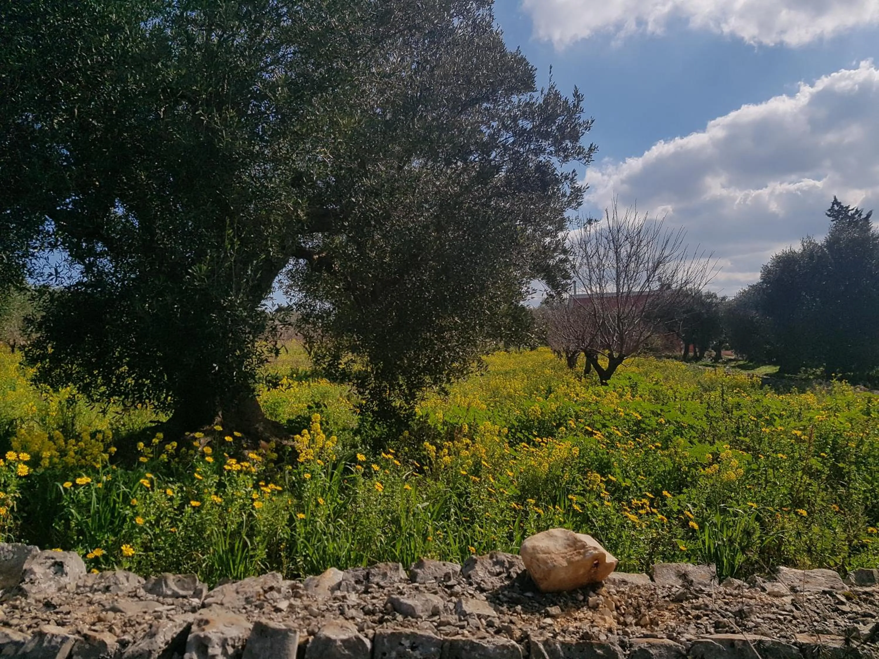 Natural landscape in Sea and Tradition b&b