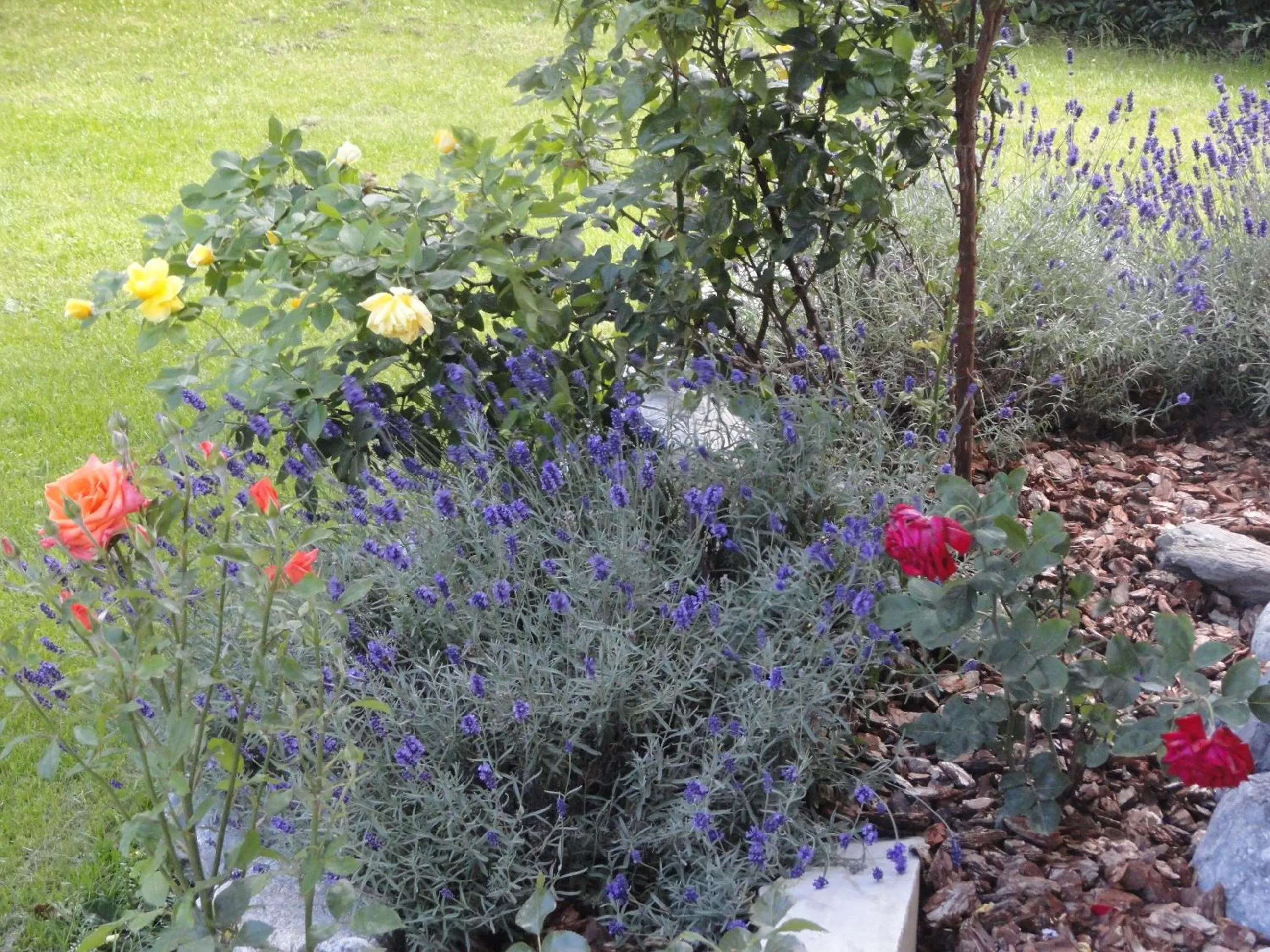 Decorative detail in La Casa di Armando