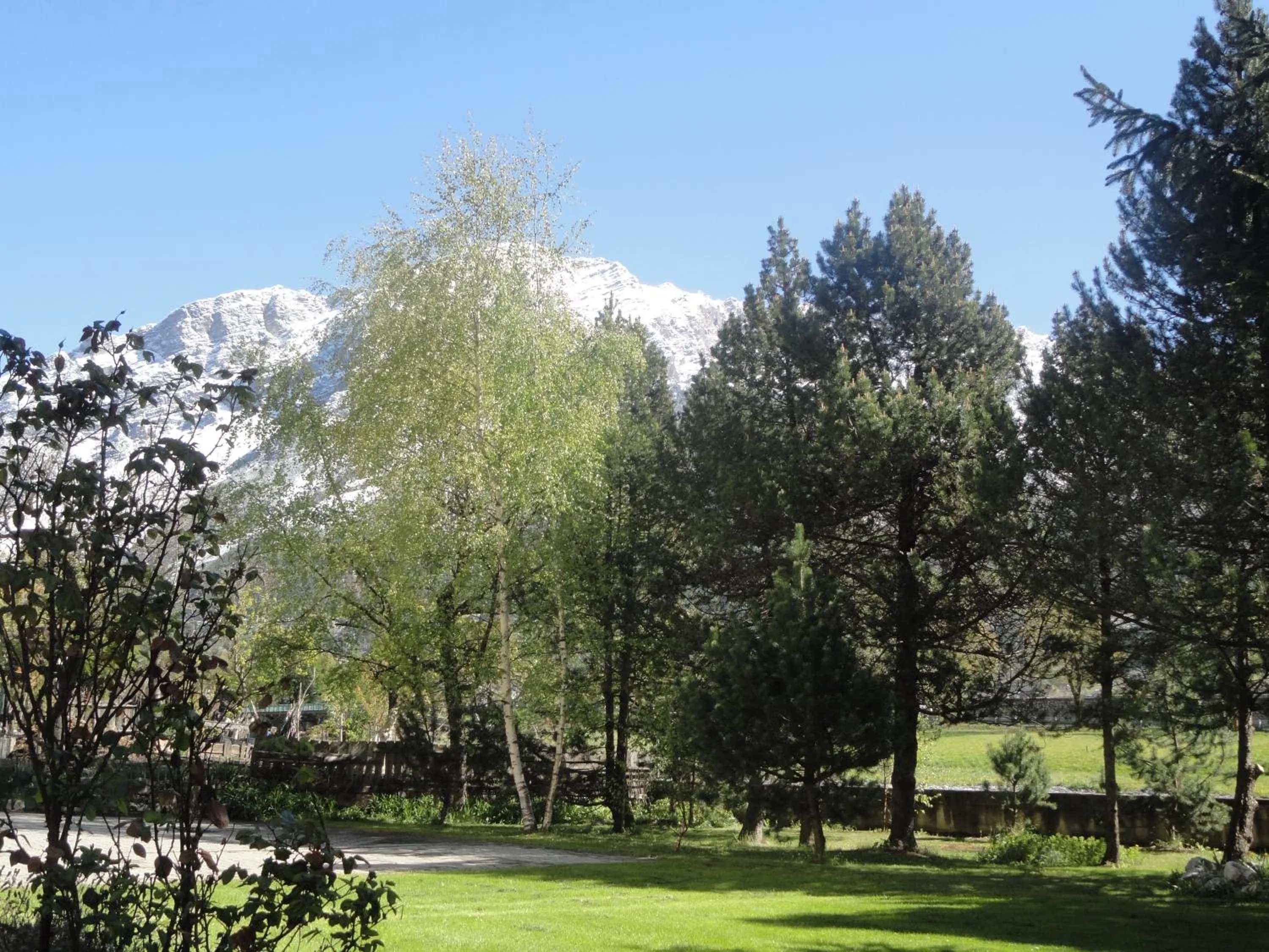 Garden in La Casa di Armando
