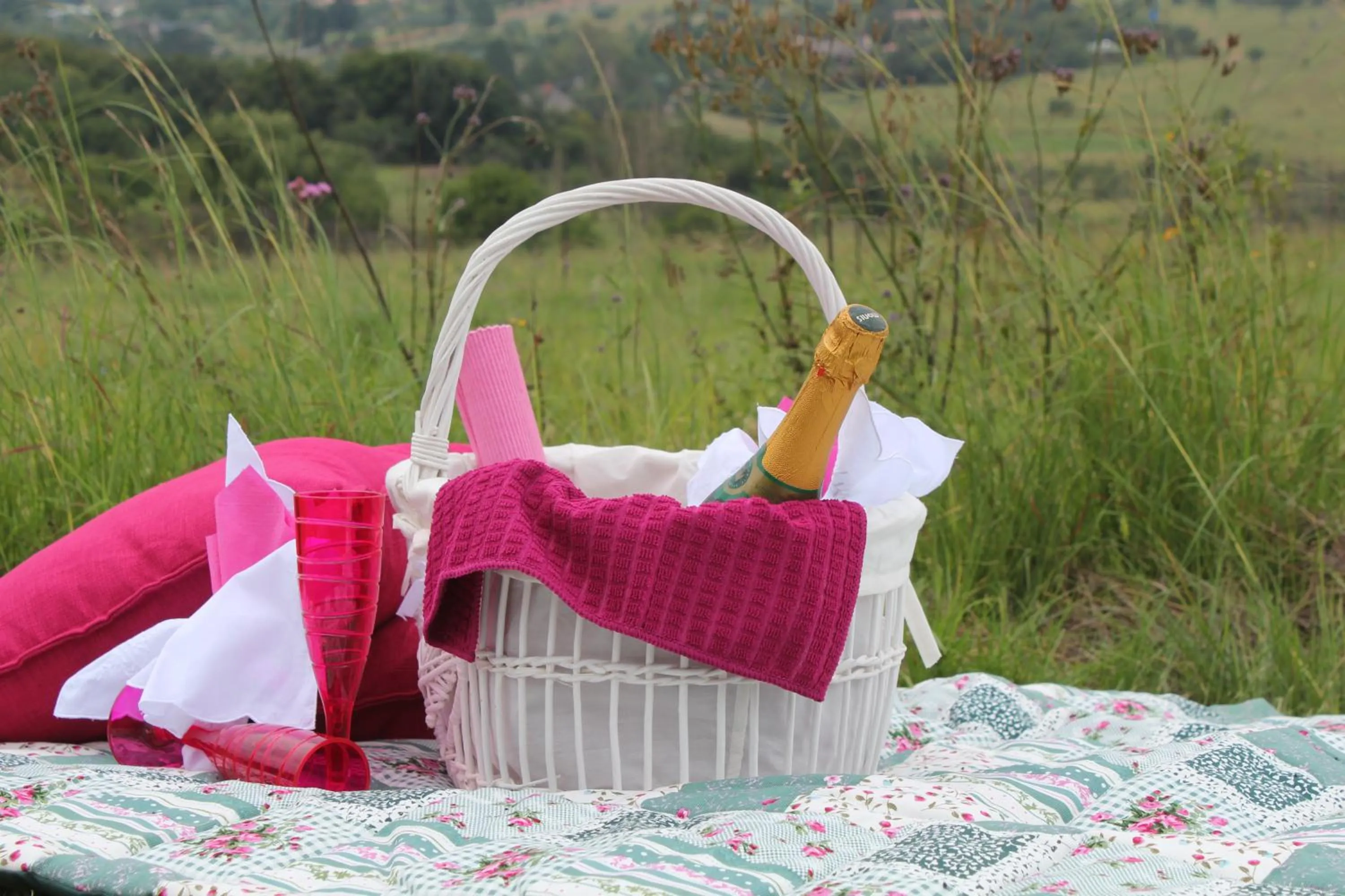 Food and drinks in Country Park Guest House - Muldersdrift