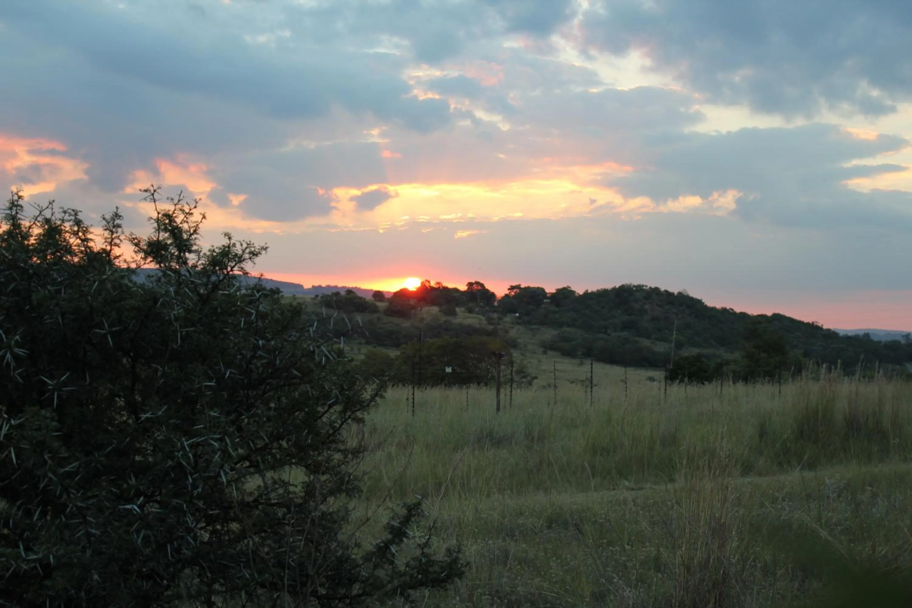 Garden view in Country Park Guest House - Muldersdrift