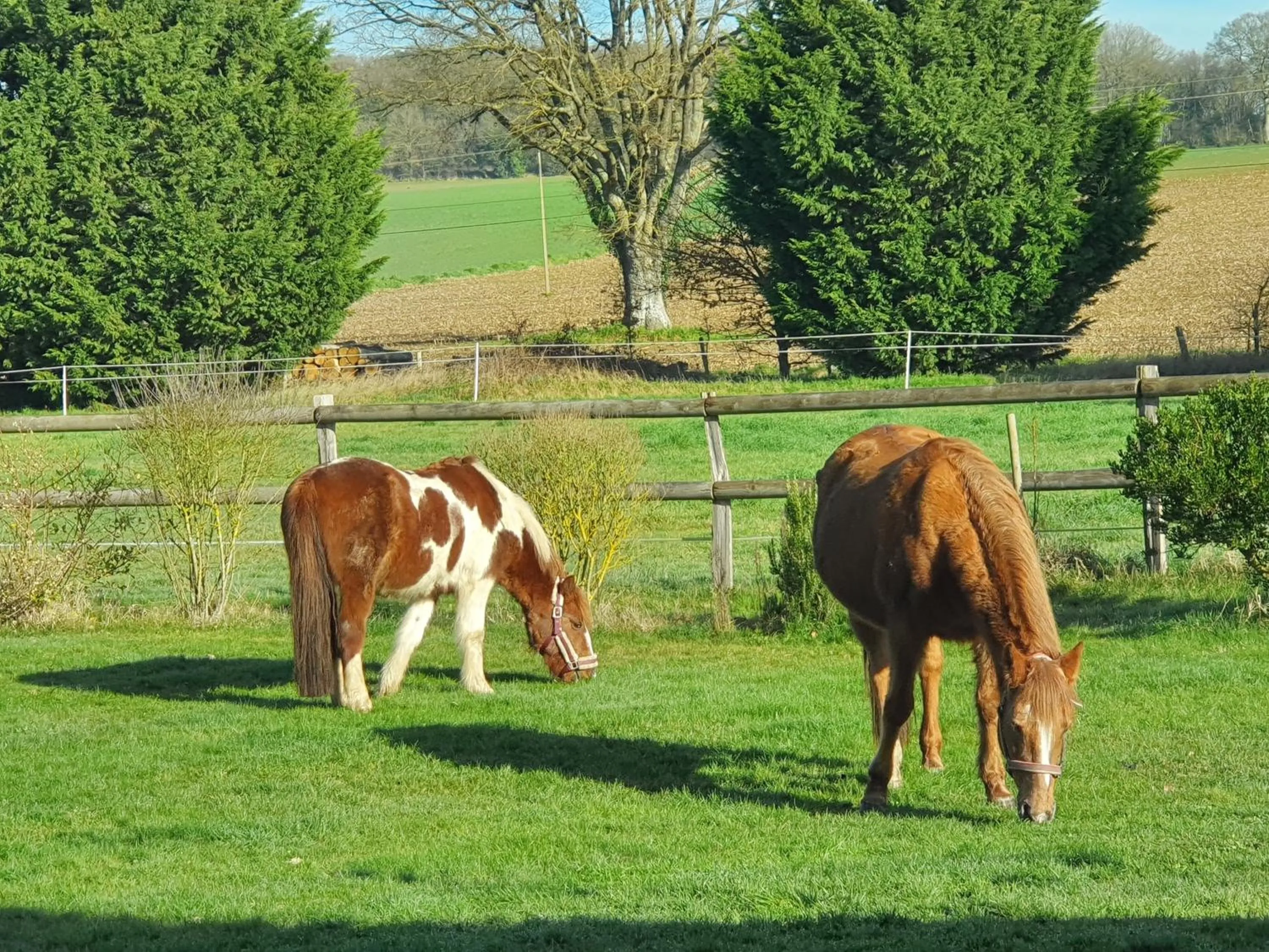 Garden in Chambres d'hôtes de La Vallée
