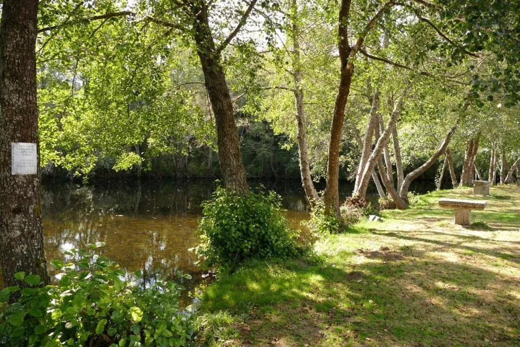 Natural landscape in Casa da Bica Gondesende