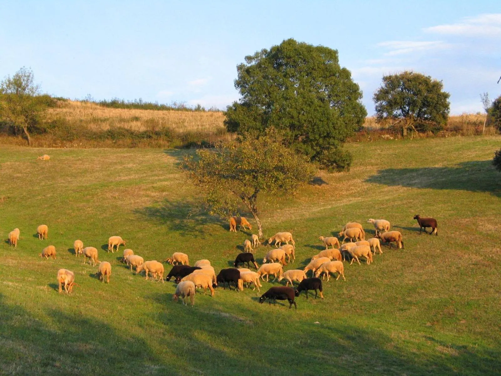 Natural landscape in Casa da Bica Gondesende