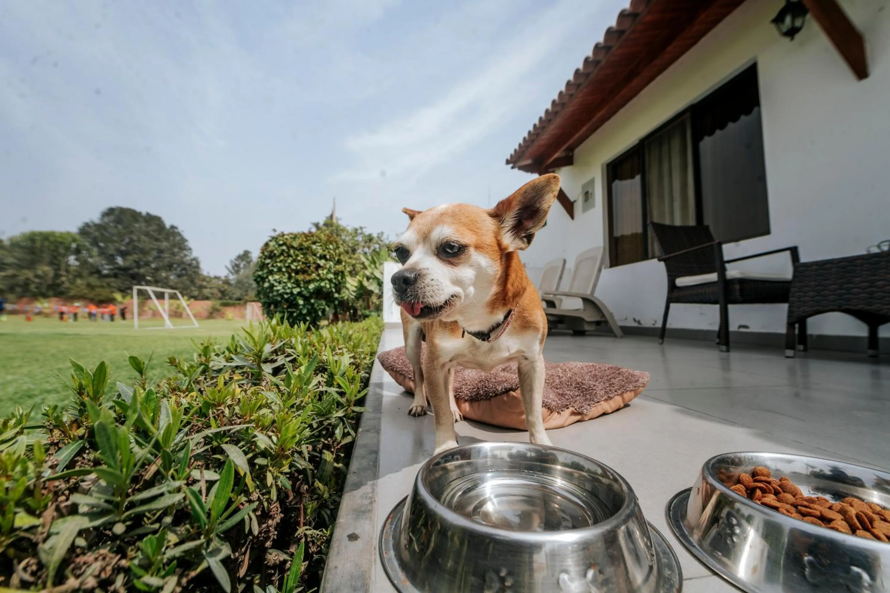 Patio in VPX Hoteles Cieneguilla