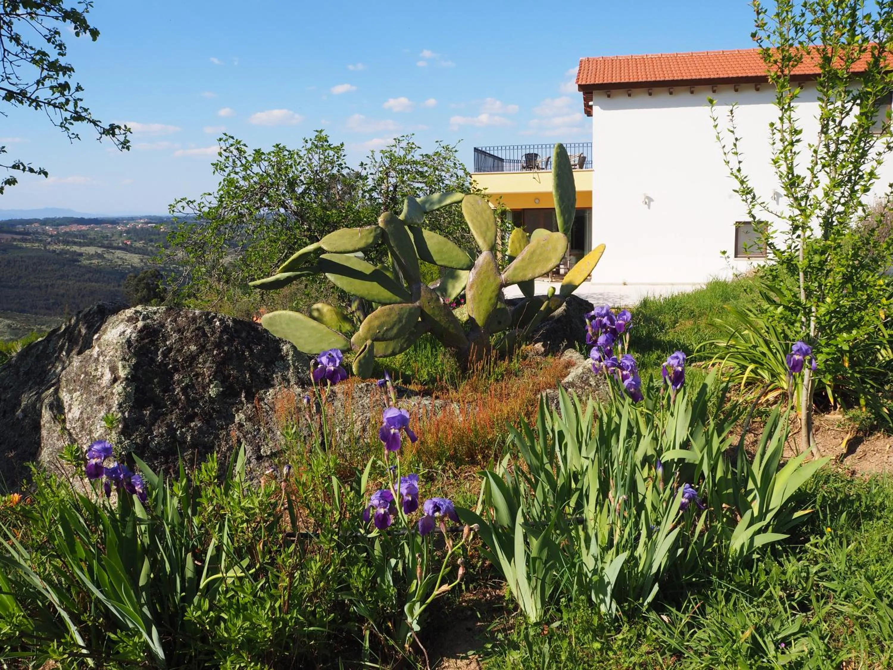 Property building in Quinta Vale Porcacho