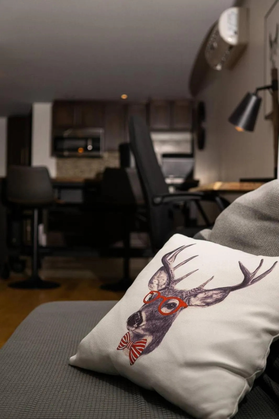 Condo Hotel Au pied du Mont Orford