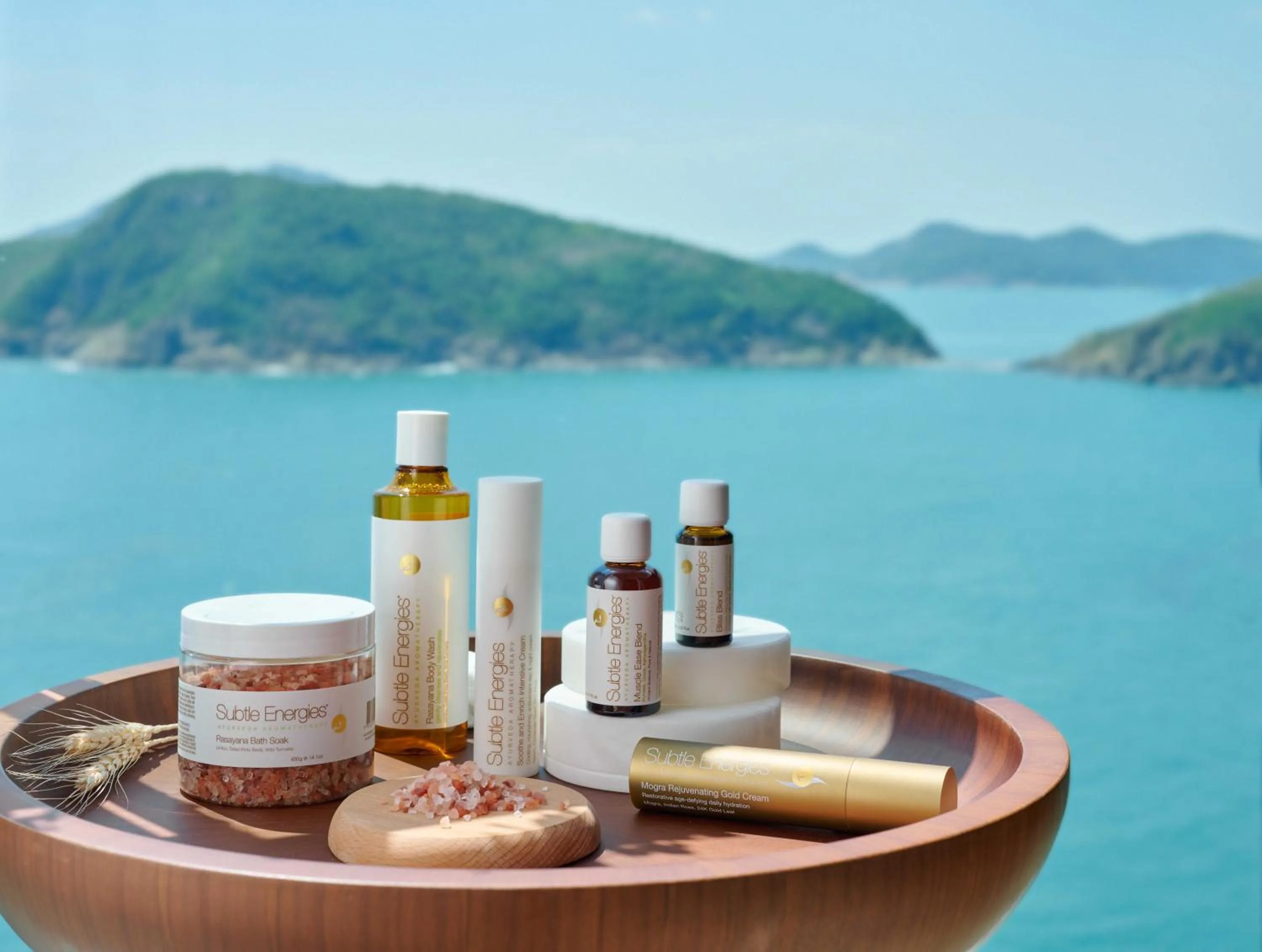 Spa and wellness centre/facilities in The Fullerton Ocean Park Hotel Hong Kong