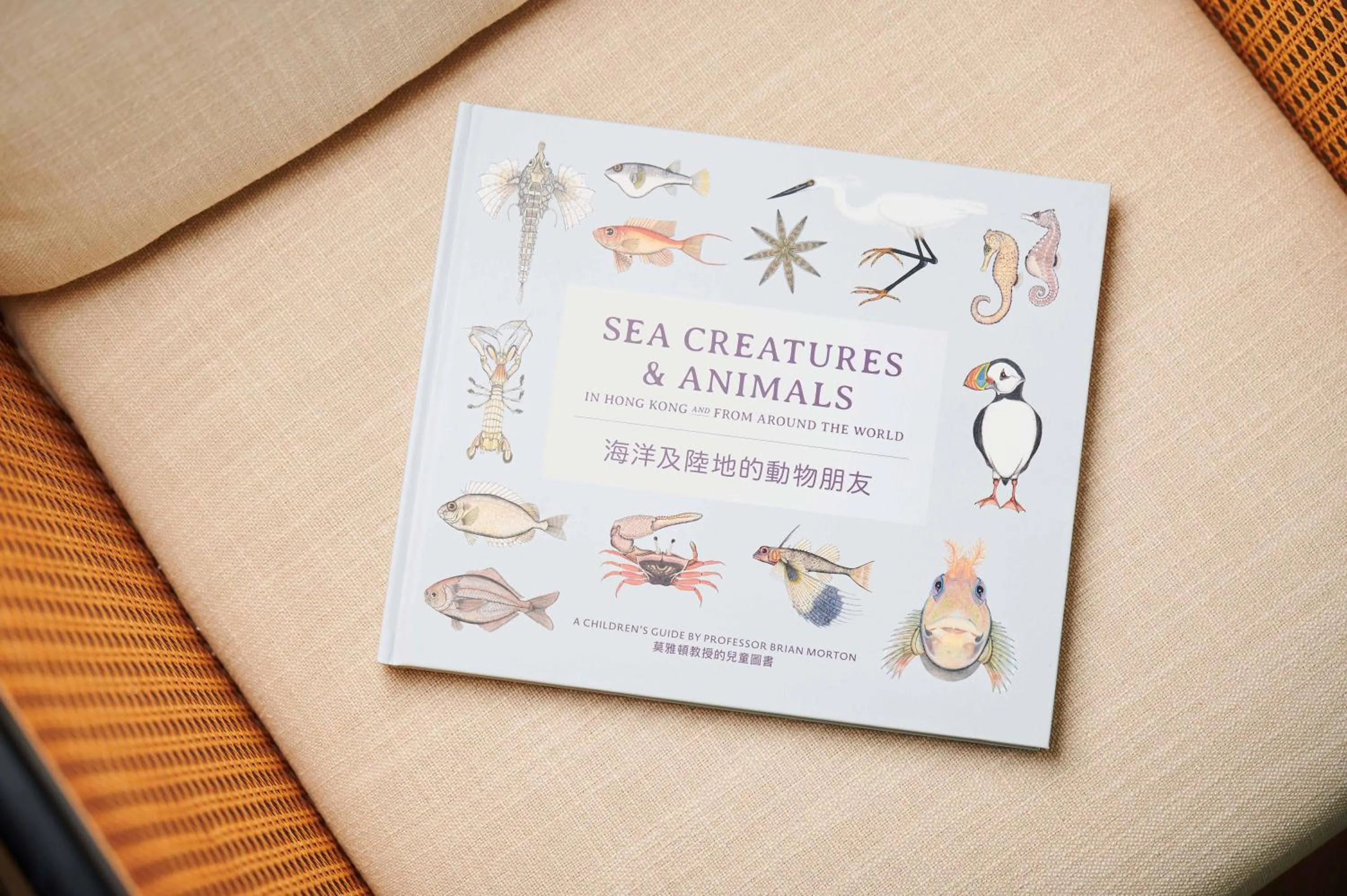 Area and facilities in The Fullerton Ocean Park Hotel Hong Kong