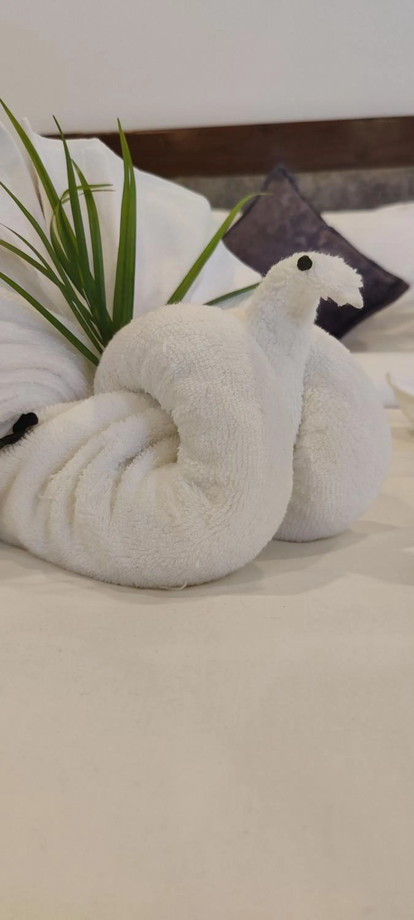 towels, Bed in Whiteflower Cottages Vagator